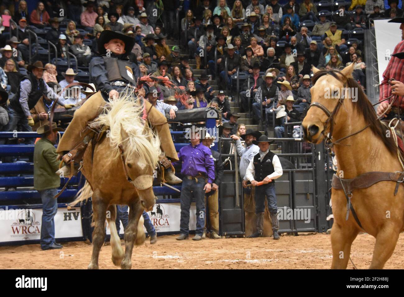 WRCA 23rd World Championship Ranch Rodeo, Amarillo, Texas, USA Stock