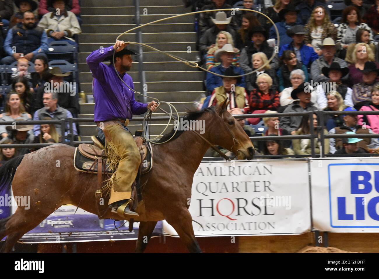 WRCA 23rd World Championship Ranch Rodeo, Amarillo, Texas, USA Stock
