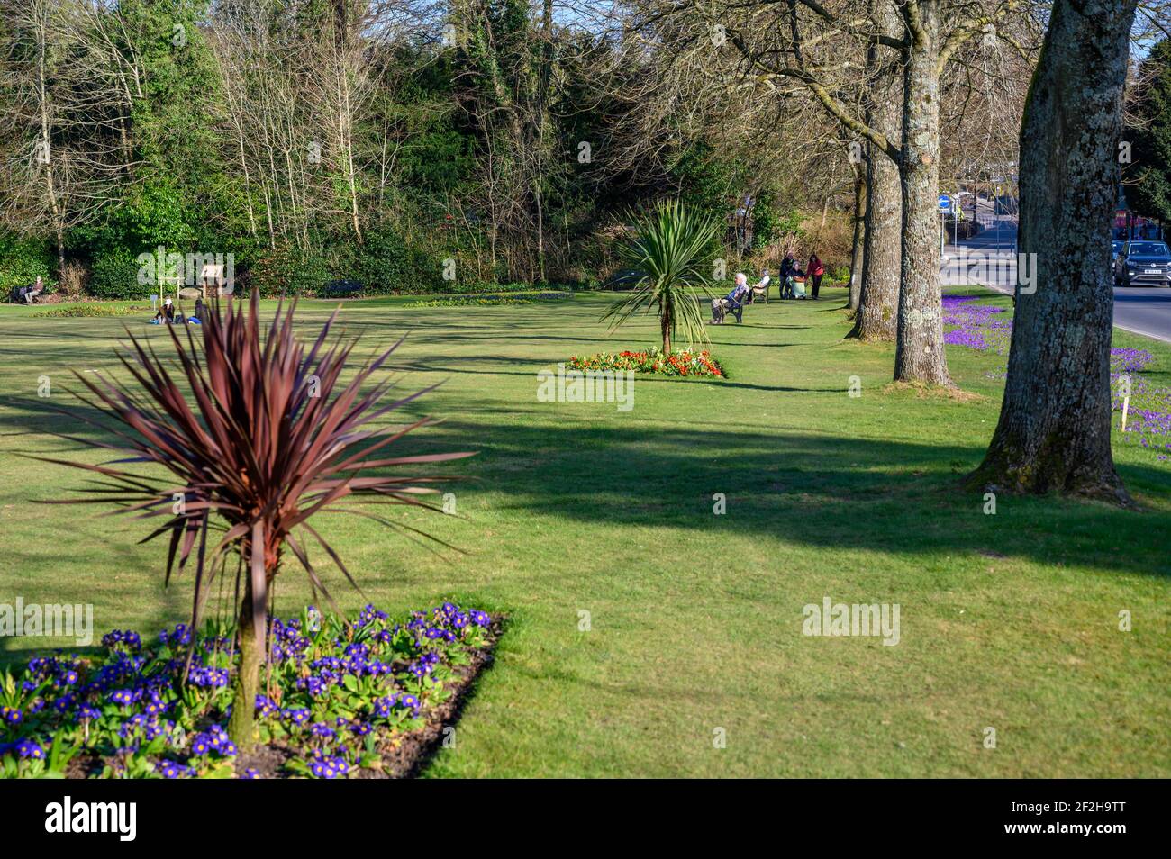 Looking towards Haywards Heath town centre over Muster Green park in early spring sunshine and