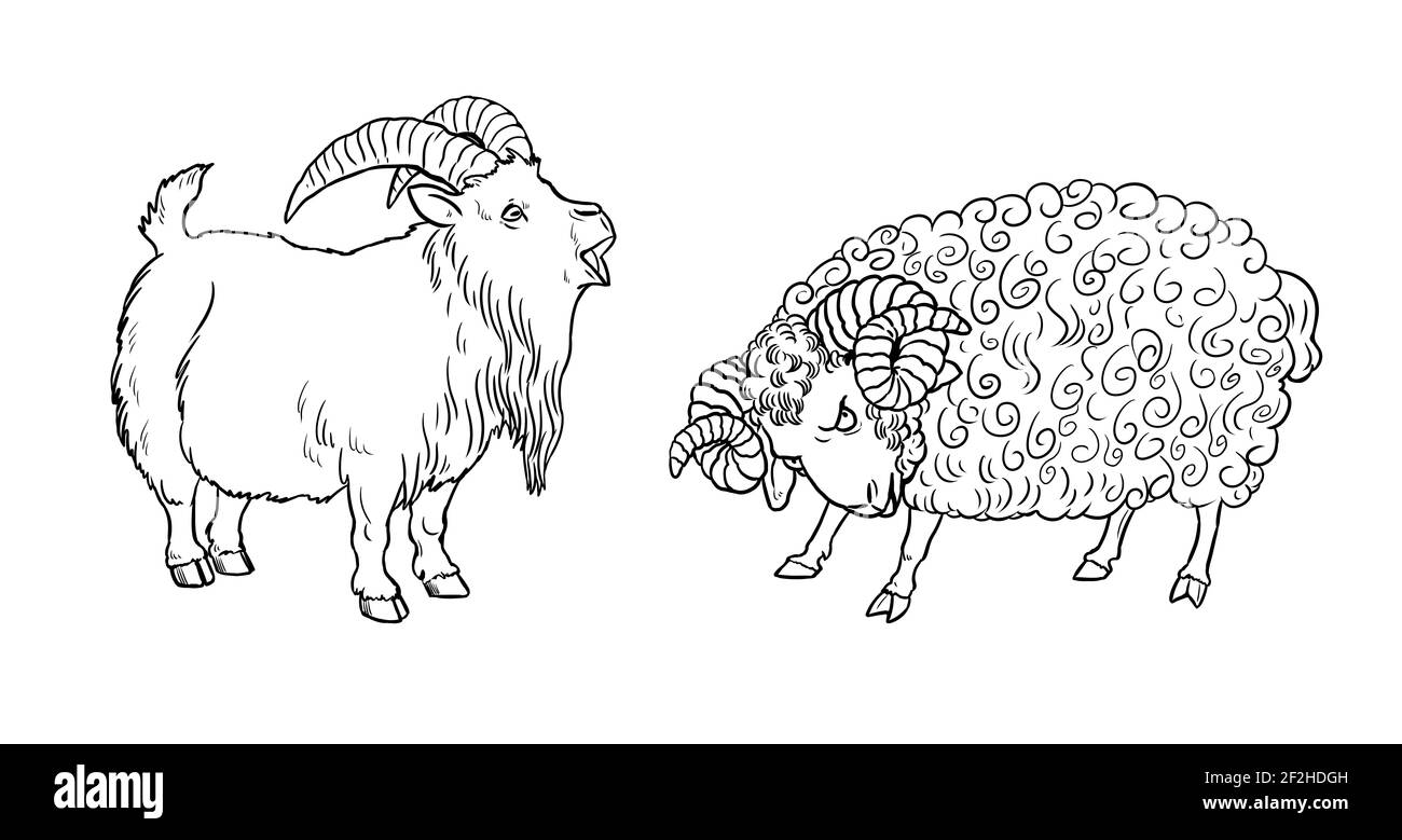 Funny goat and sheep. Funny farm animals. Template for children to paint. Stock Photo