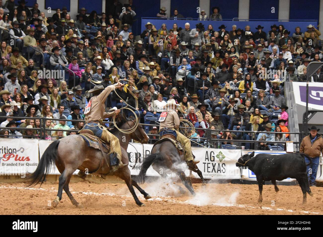 WRCA 23rd World Championship Ranch Rodeo, Amarillo, Texas Stock Photo