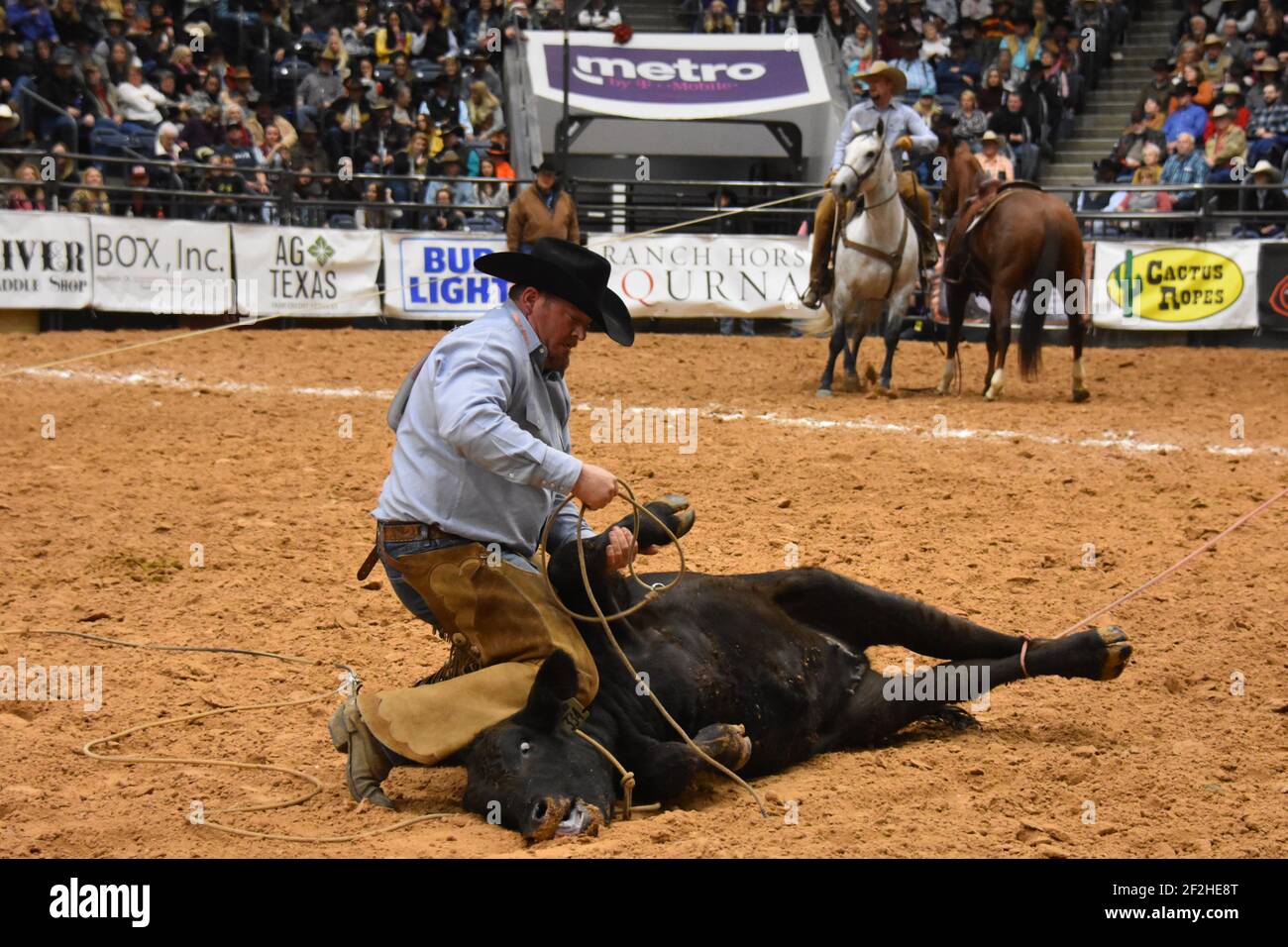 WRCA 23rd World Championship Ranch Rodeo, Amarillo, Texas Stock Photo