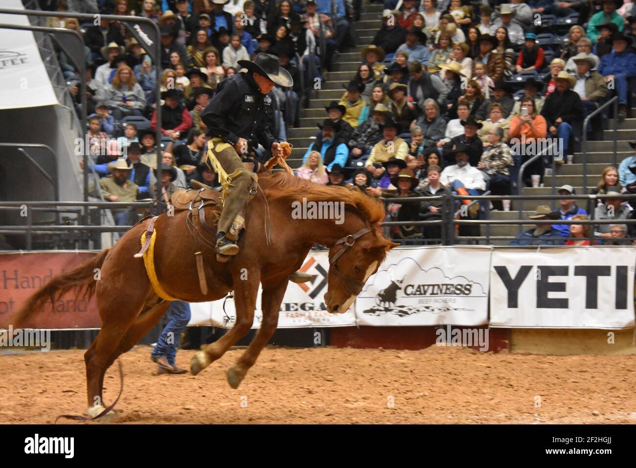 WRCA 23rd World Championship Ranch Rodeo, Amarillo, Texas Stock Photo