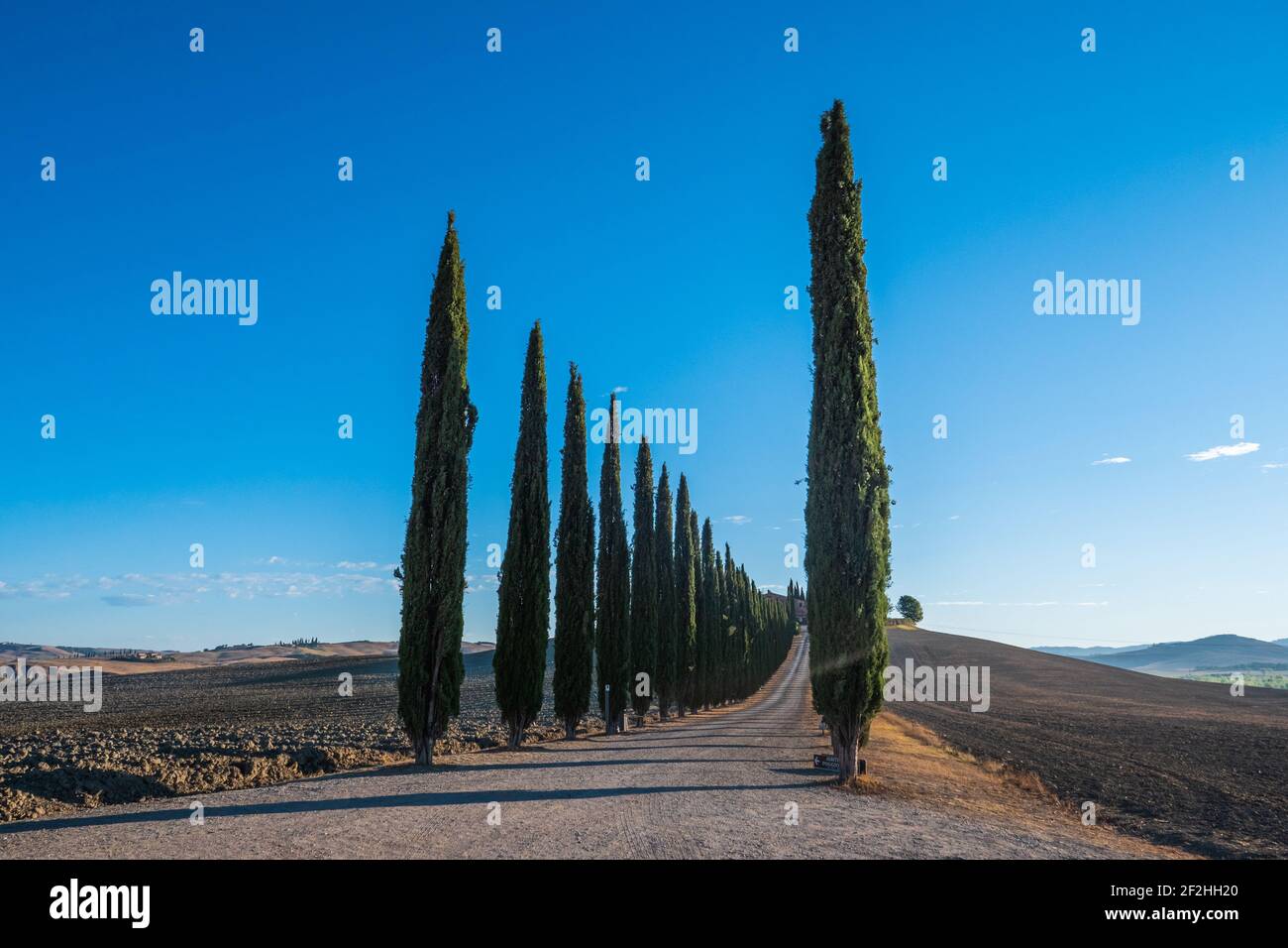 Poggio covili farm hi-res stock photography and images - Alamy
