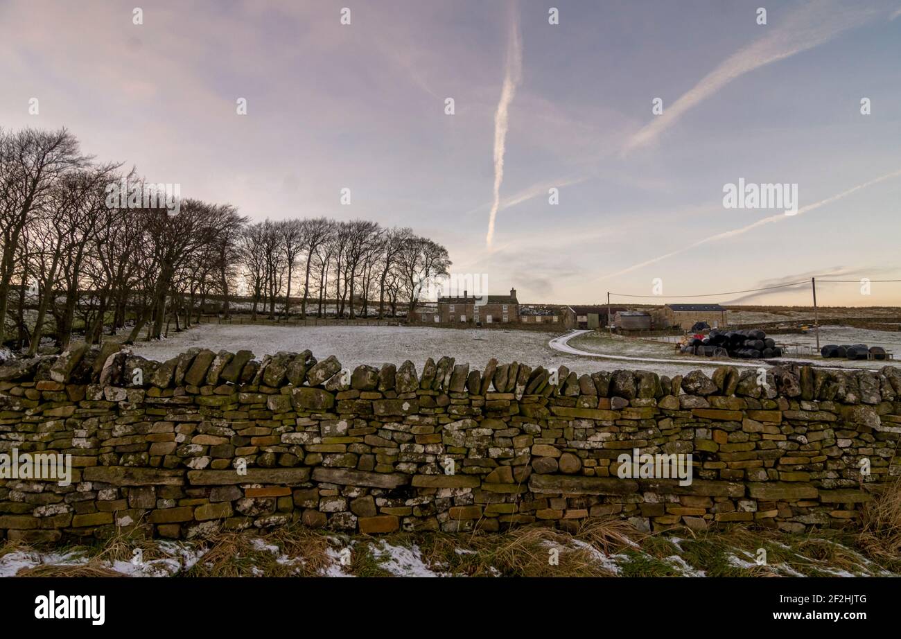 A farmhouse, bare trees, dry stone walls and jet trails in winter in Weardale, the North Pennines, County Durham, UK Stock Photo