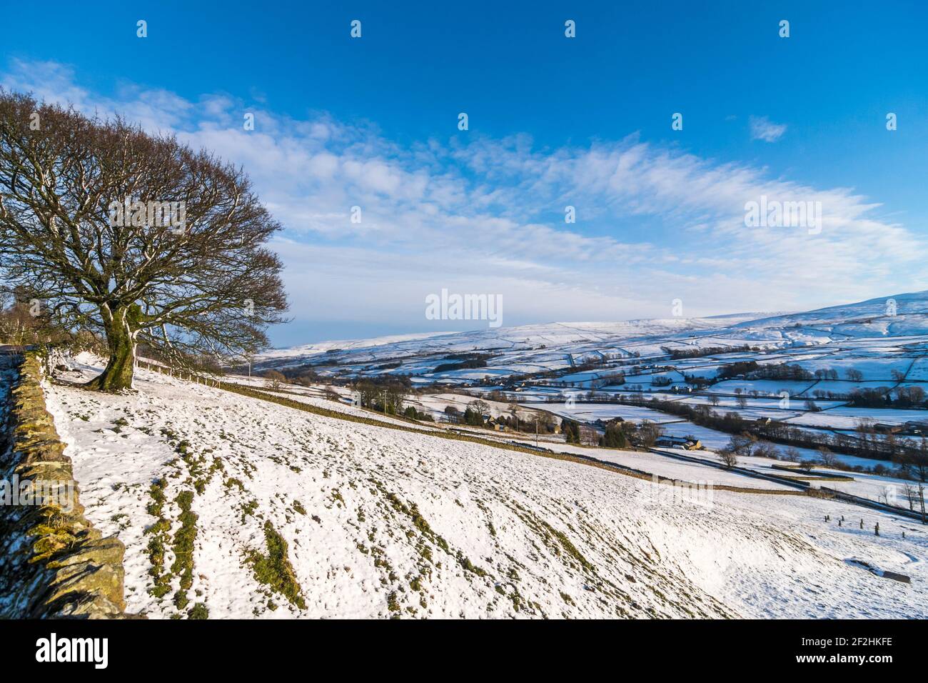 A sycamore (Acer pseudoplatanus) at the top of a steeply sloping, snowy field, with hills beyond in Weardale, the North Pennines, County Durham, UK Stock Photo