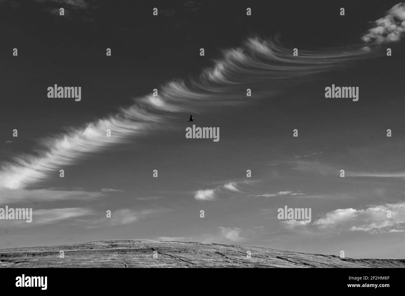 Eyelash-like cirrus clouds above hills in Weardale, the North Pennines, County Durham, UK; a wood pigeon flies past (B&W) Stock Photo
