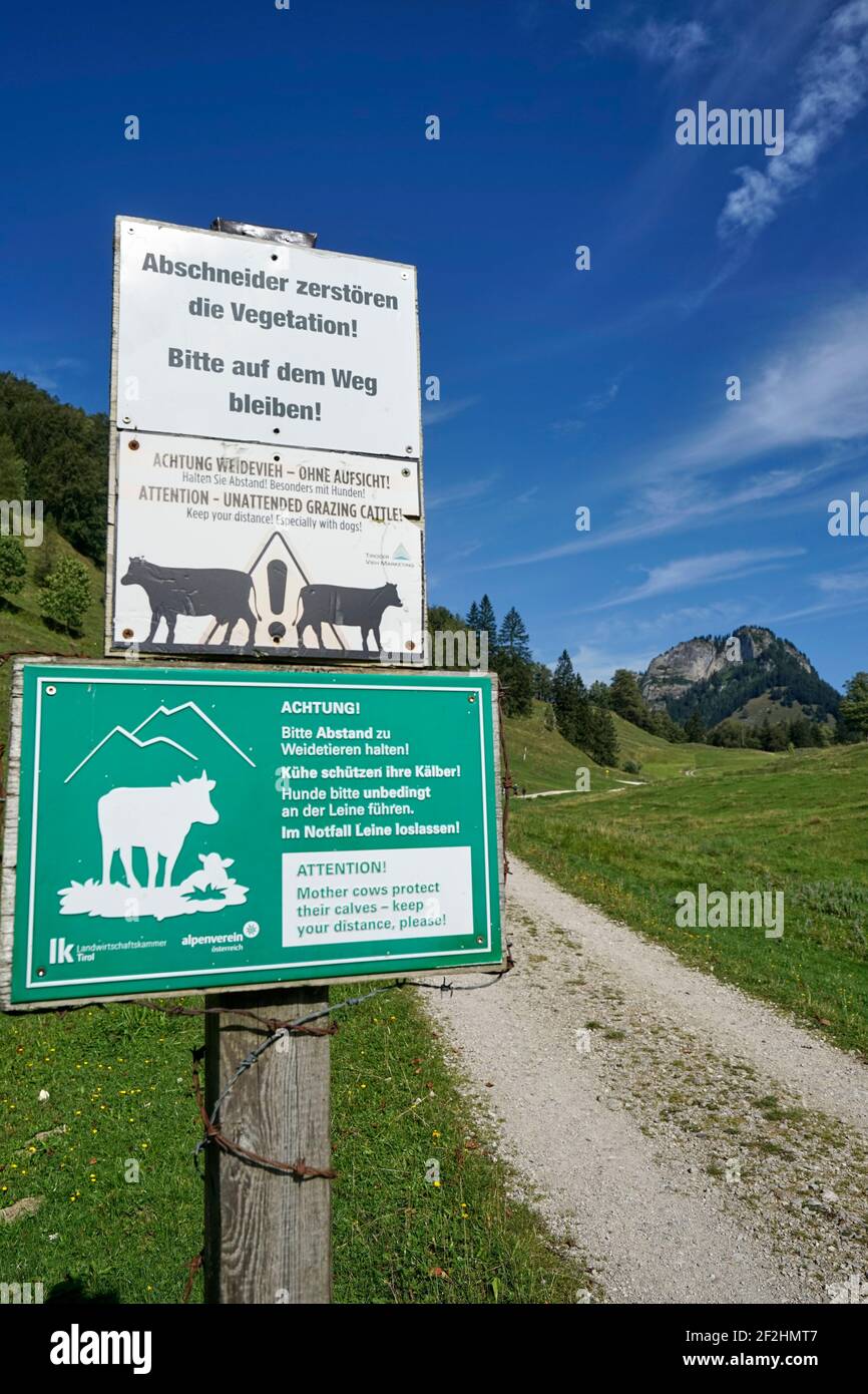 Austria, Tyrol, Kufstein, Erl, Kranzhorn, 1368m, warning signs, keep distance to grazing animals, cows protect their calves, cutters destroy the vegetation, do not leave hiking trails Stock Photo