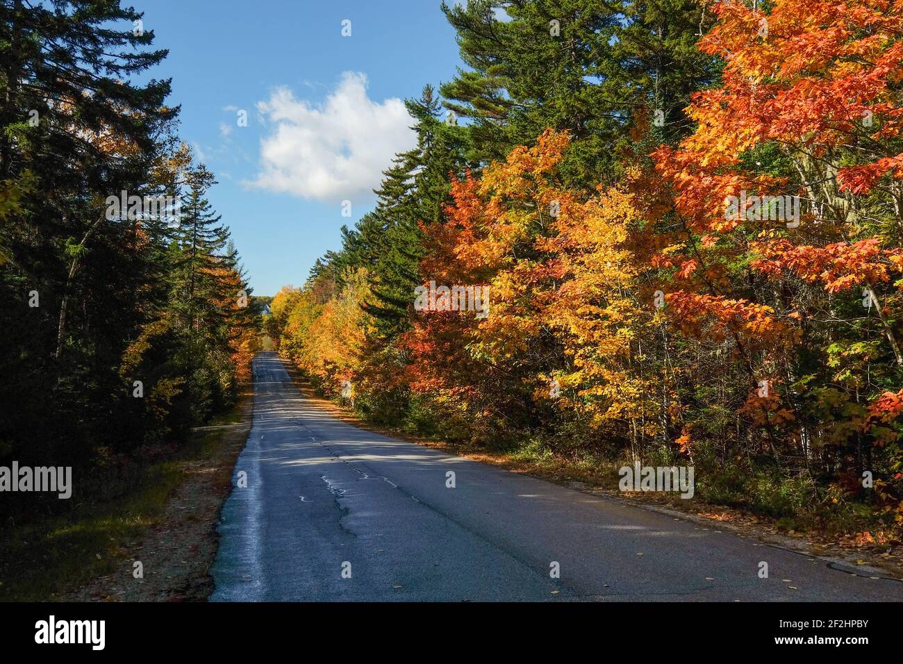 A typical country, rural road, lined with trees in full fall color