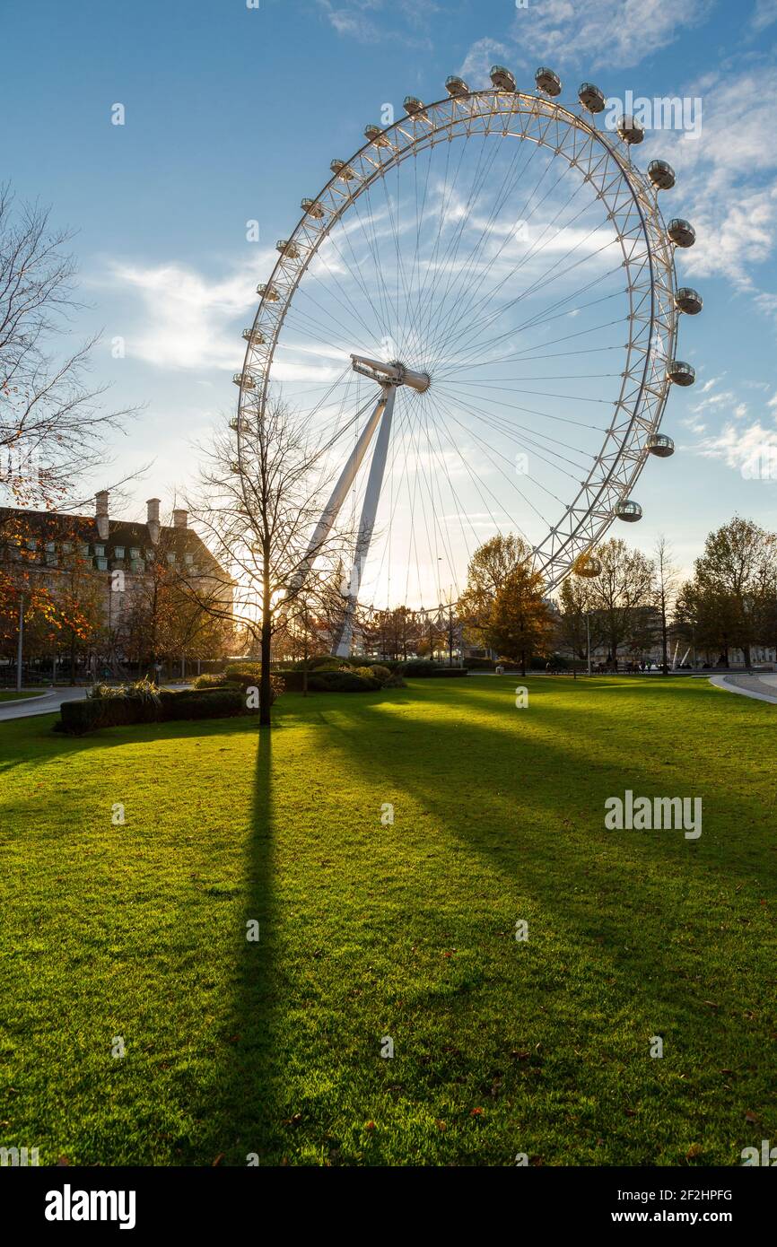 The London Eye at sunset as seen from Jubilee Park and Garden, South Bank, London Stock Photo