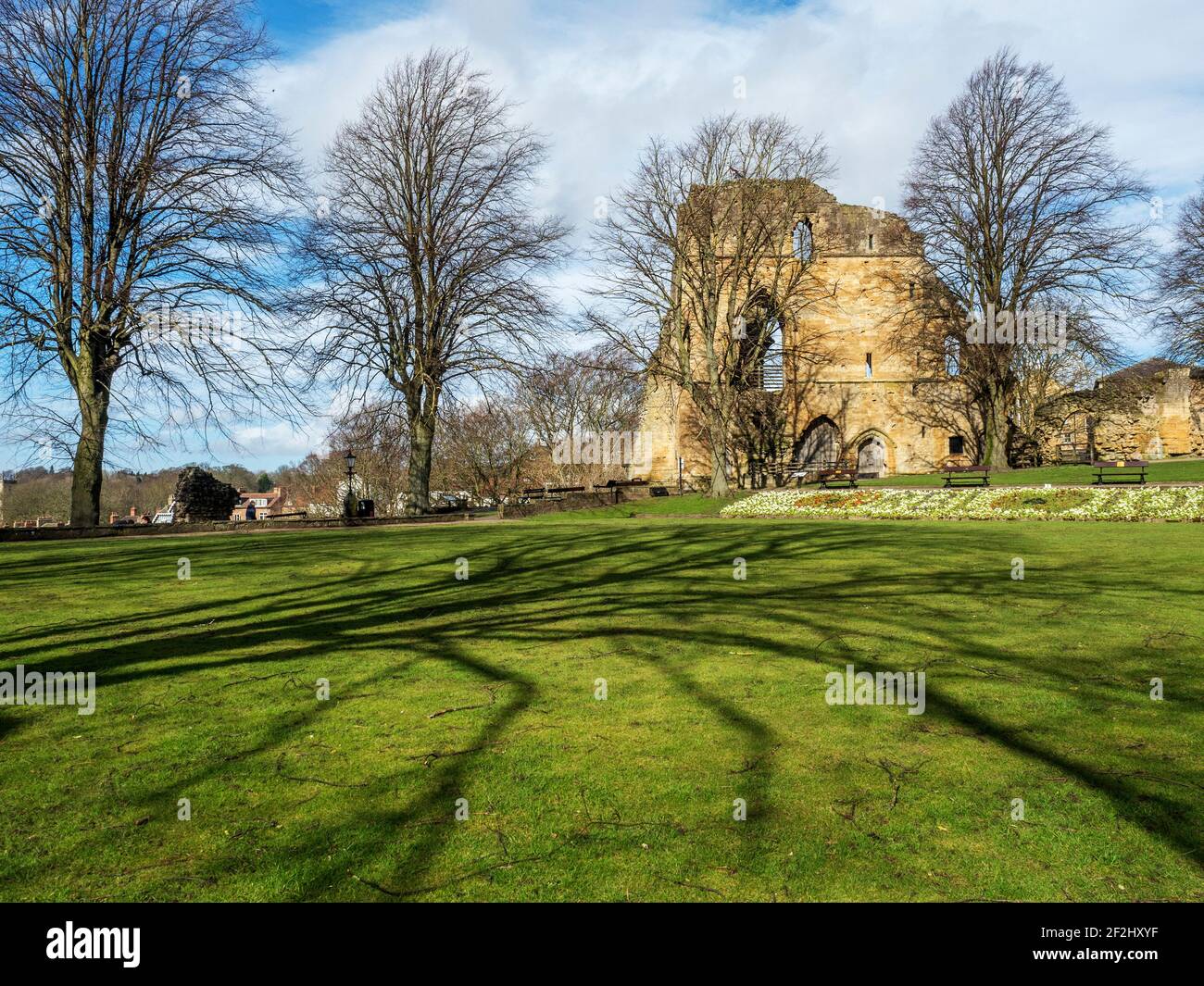 Tree shadows on the bowling green in Knaresborough Castle grounds in spring Knaresborough North Yorkshire England Stock Photo