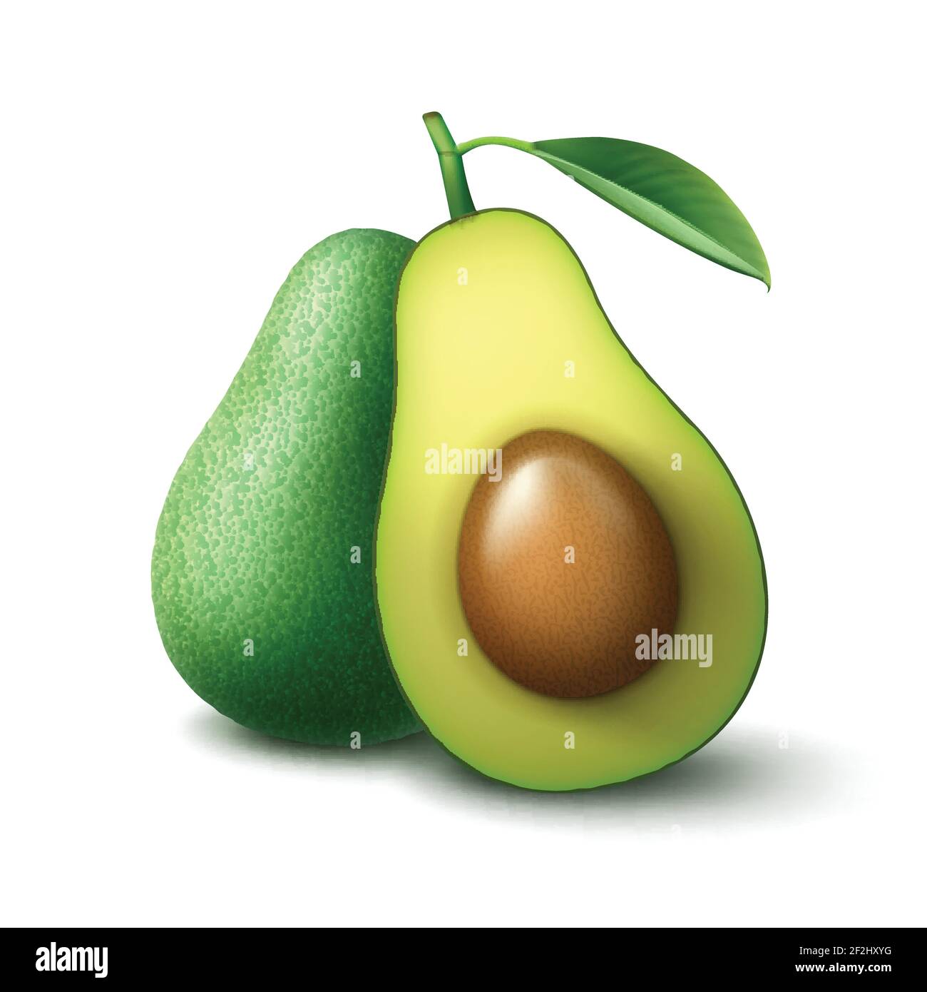 Vector green fresh whole and half cut avocado with leaf side view ...