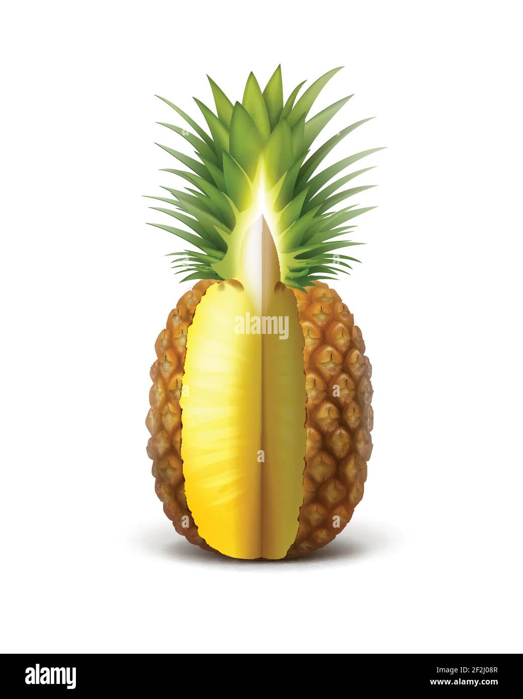 Vector ripe sliced pineapple fruit isolated on white background Stock Vector