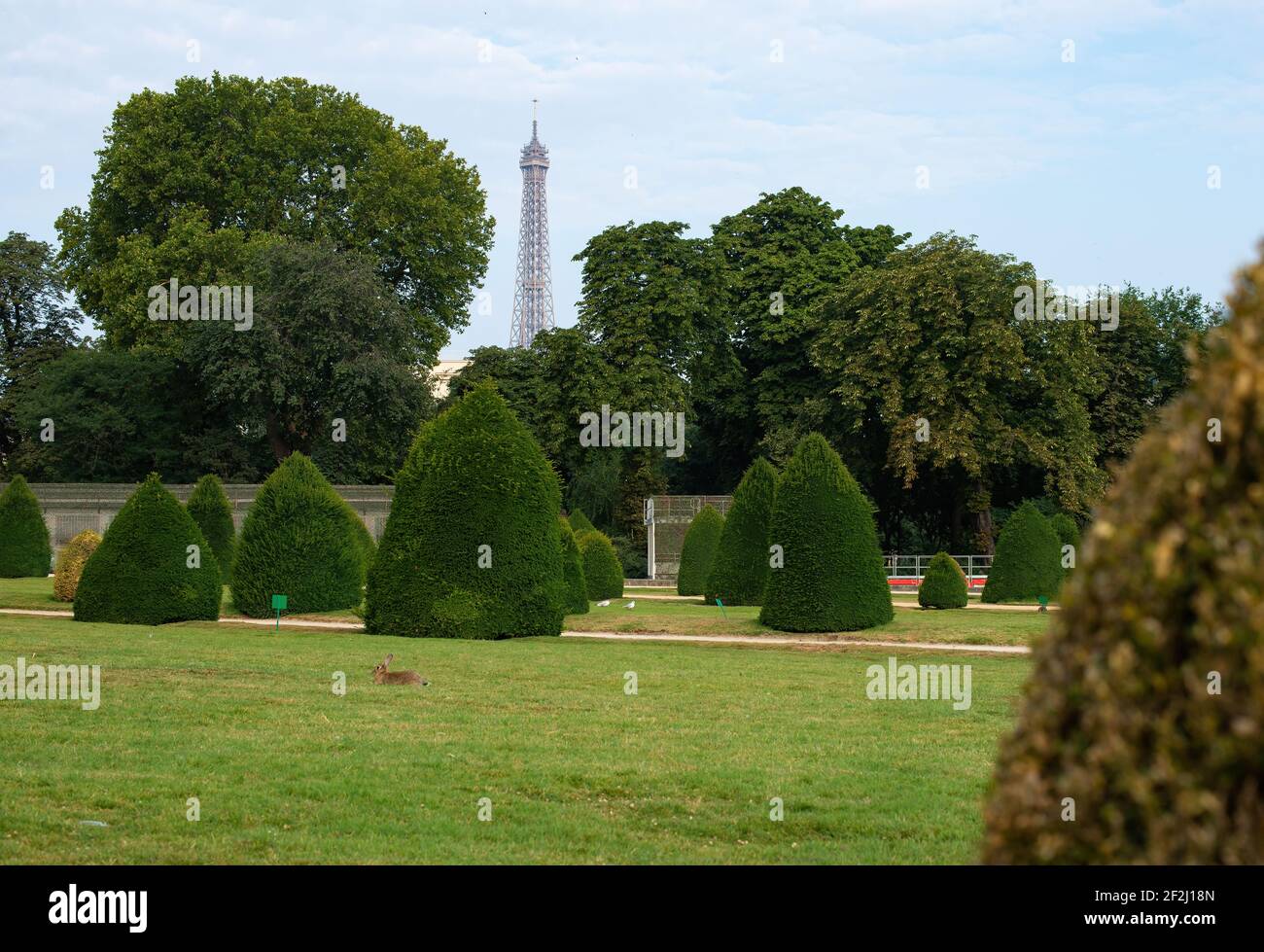 Rabbit tower hires stock photography and images Alamy