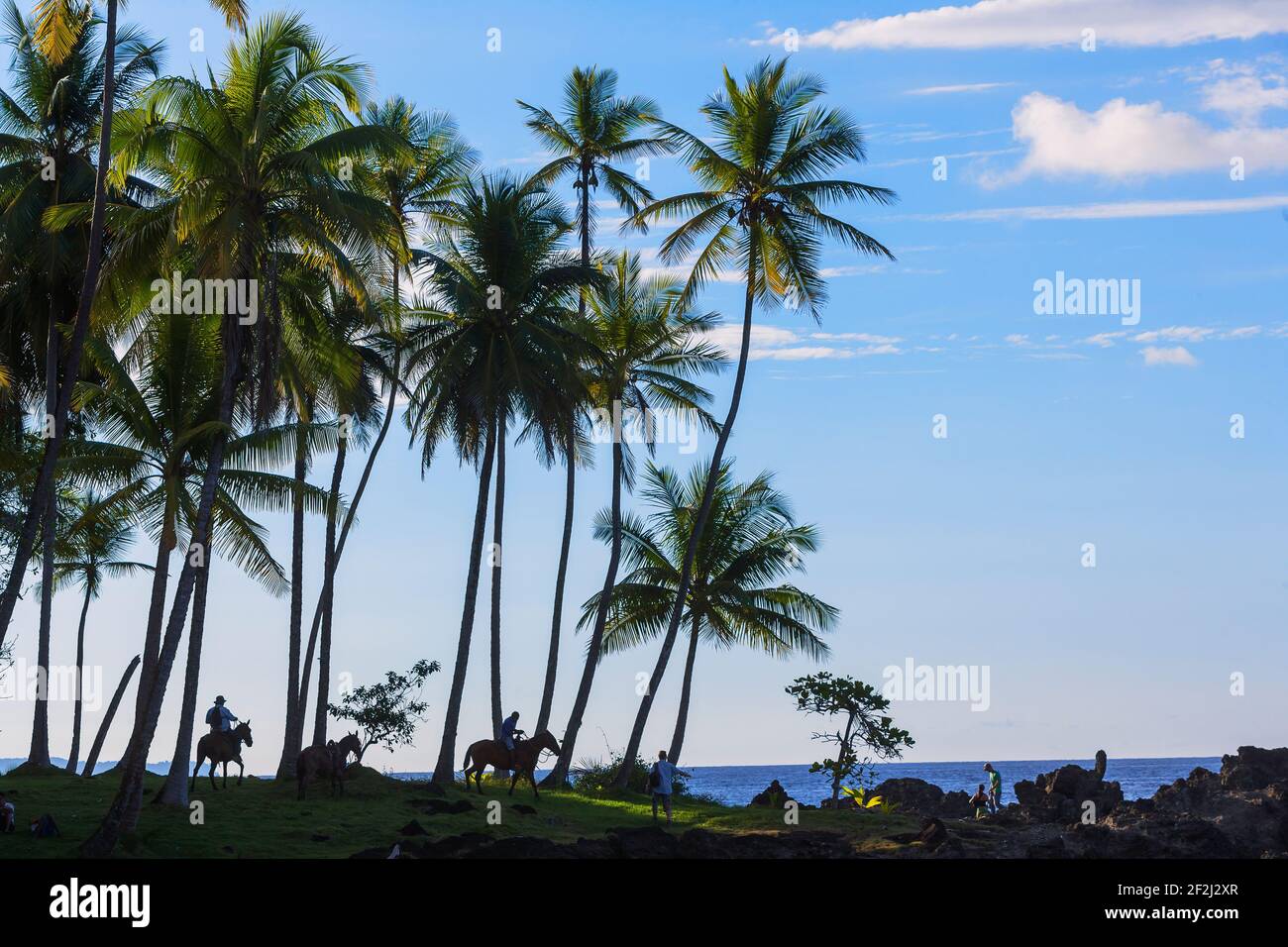 Horseback riding on beach, Drake Bay, Corcovado National Park, Osa