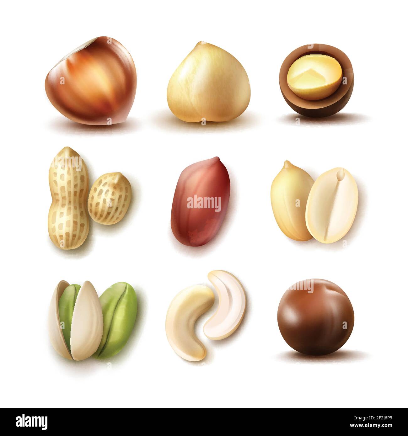Vector set of different nuts: whole and half hazelnut, macadamia, pistachio, peanuts, cashew top, side view isolated on white background Stock Vector