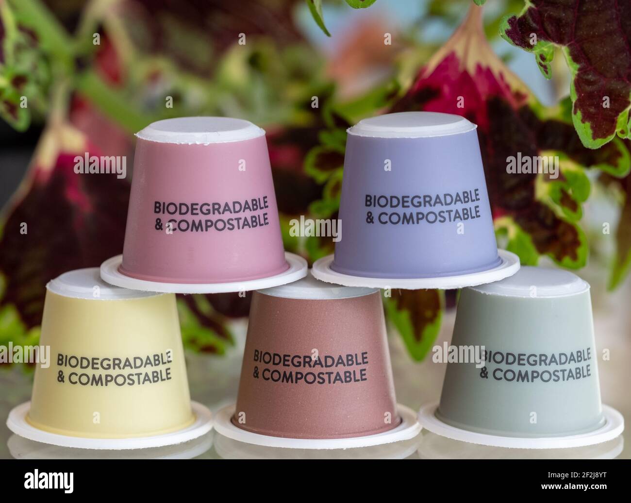 Biodegradable coffee capsules hires stock photography and images Alamy