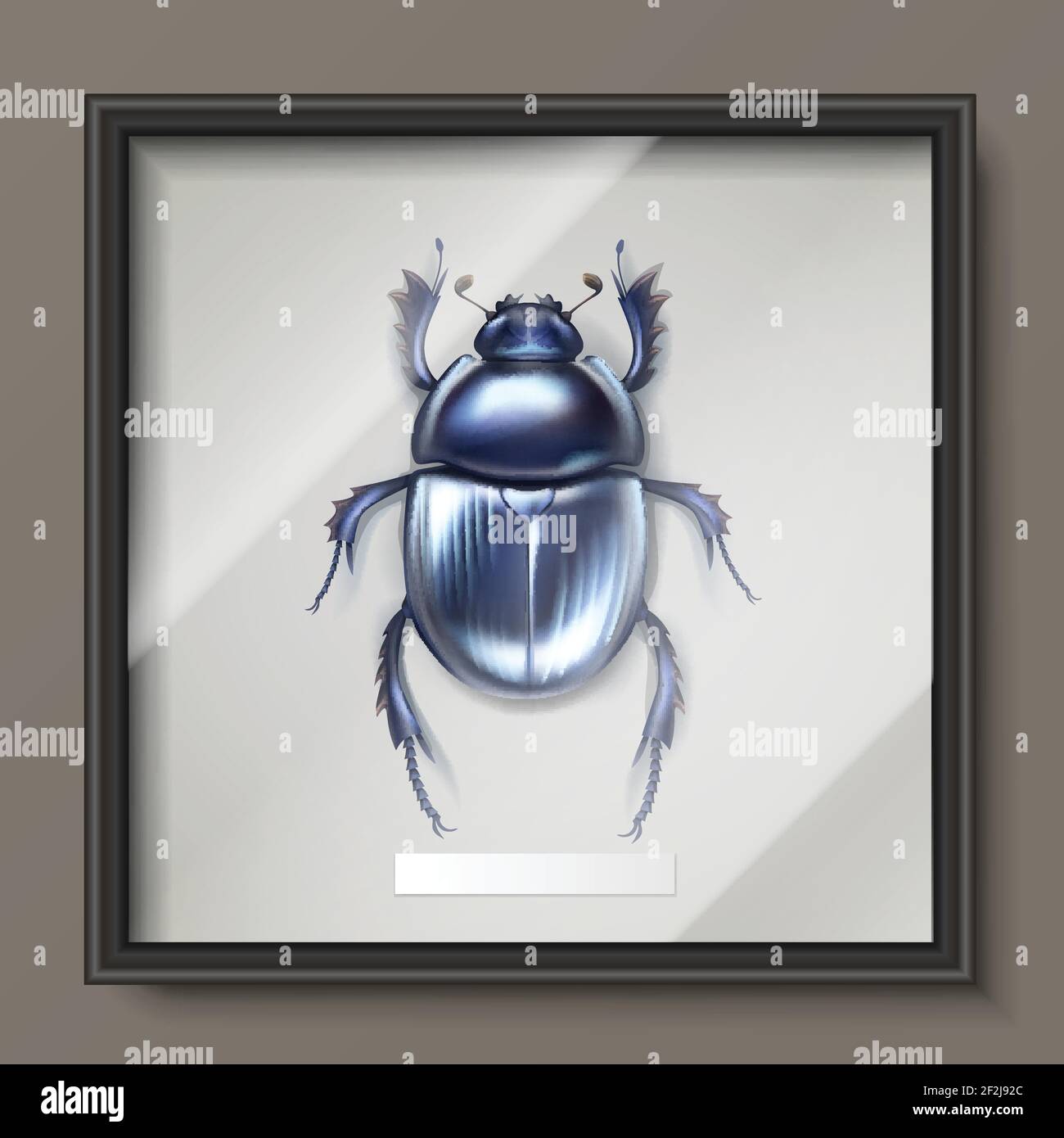 Vector framed dark blue shiny dung beetle hanging on wall Stock Vector