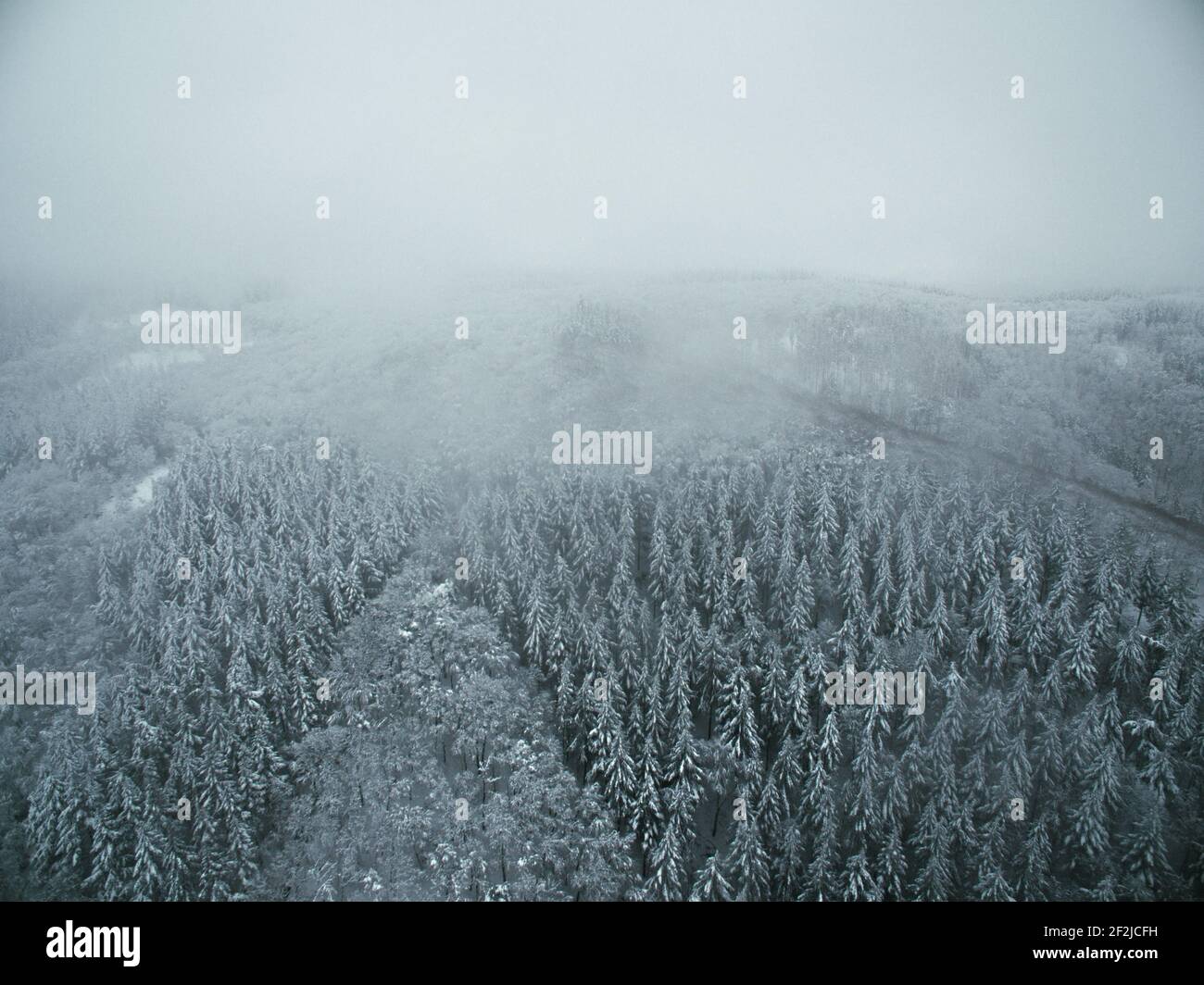 Winter impressions from Steinerberg in the Ahr Valley. Stock Photo