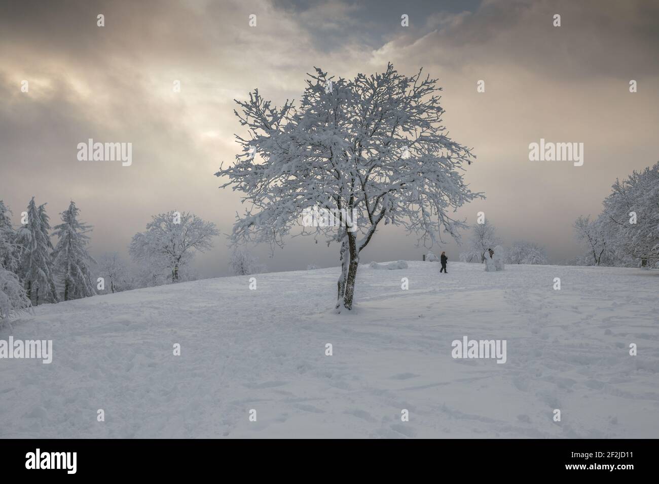 Winter impressions from Steinerberg in the Ahr Valley. Stock Photo