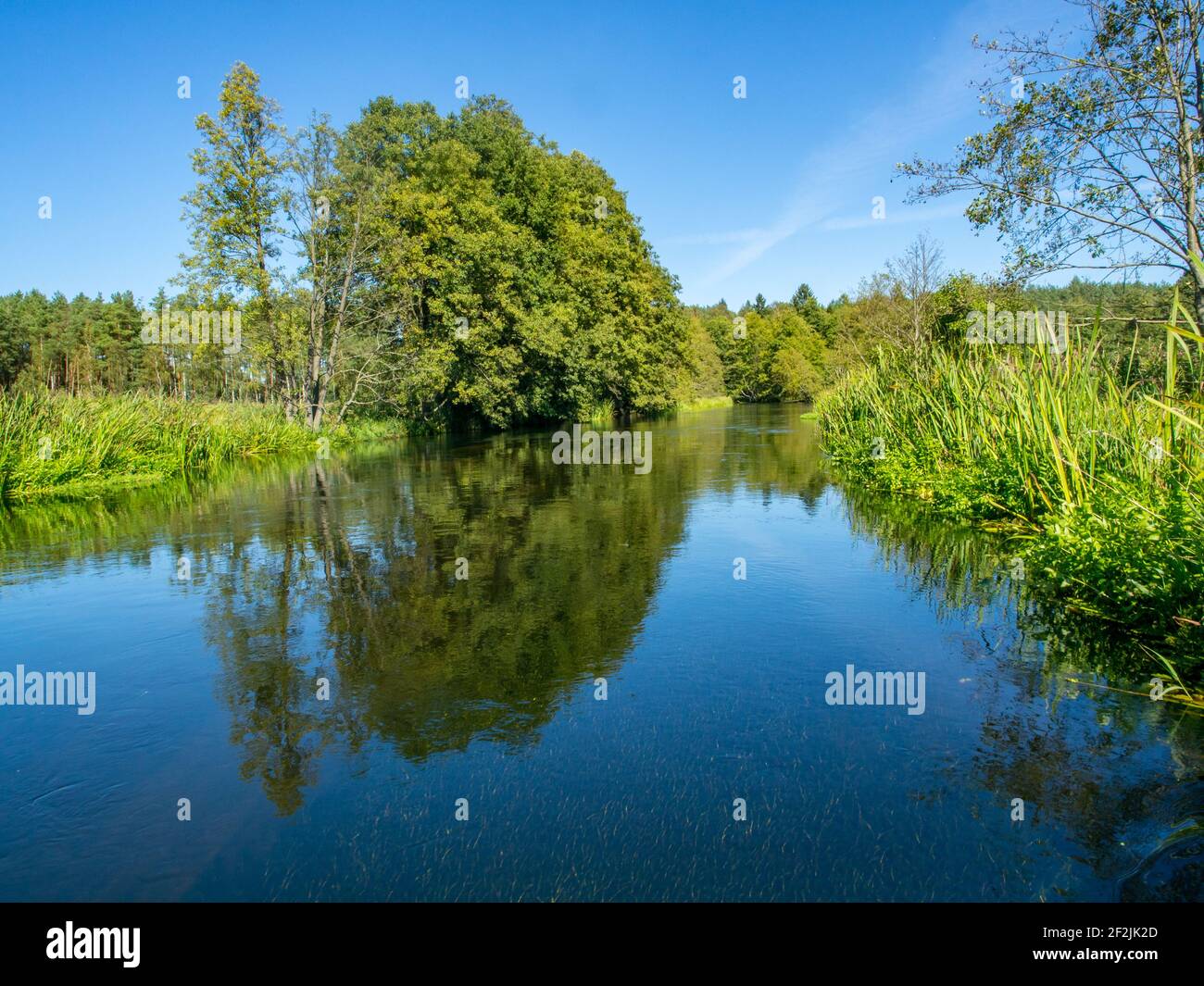 Trees and clouds reflecting in a water. Wda river during the canoeing
