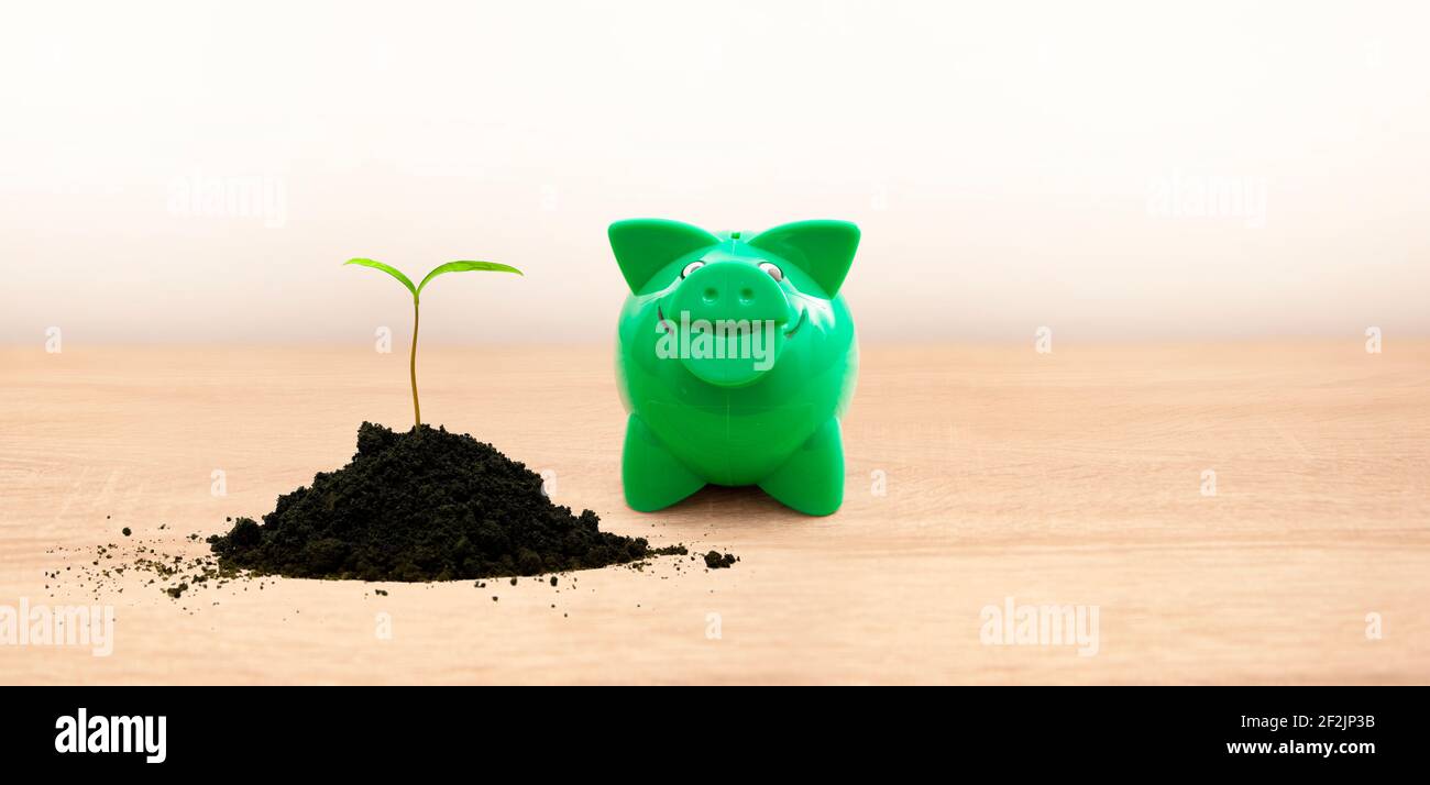 Fresh shoot in earth and piggy bank Stock Photo