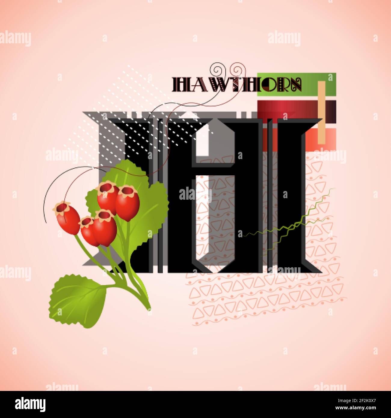 The letter H and hawthorn on a bright abstract background Stock Vector