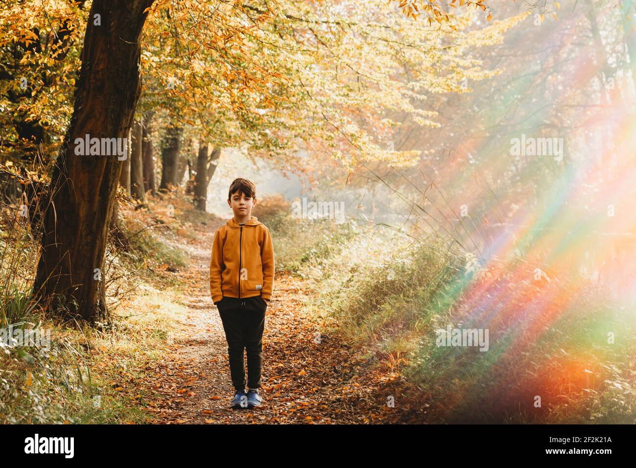 Boy standing on path under tree with rainbow light flare Stock Photo
