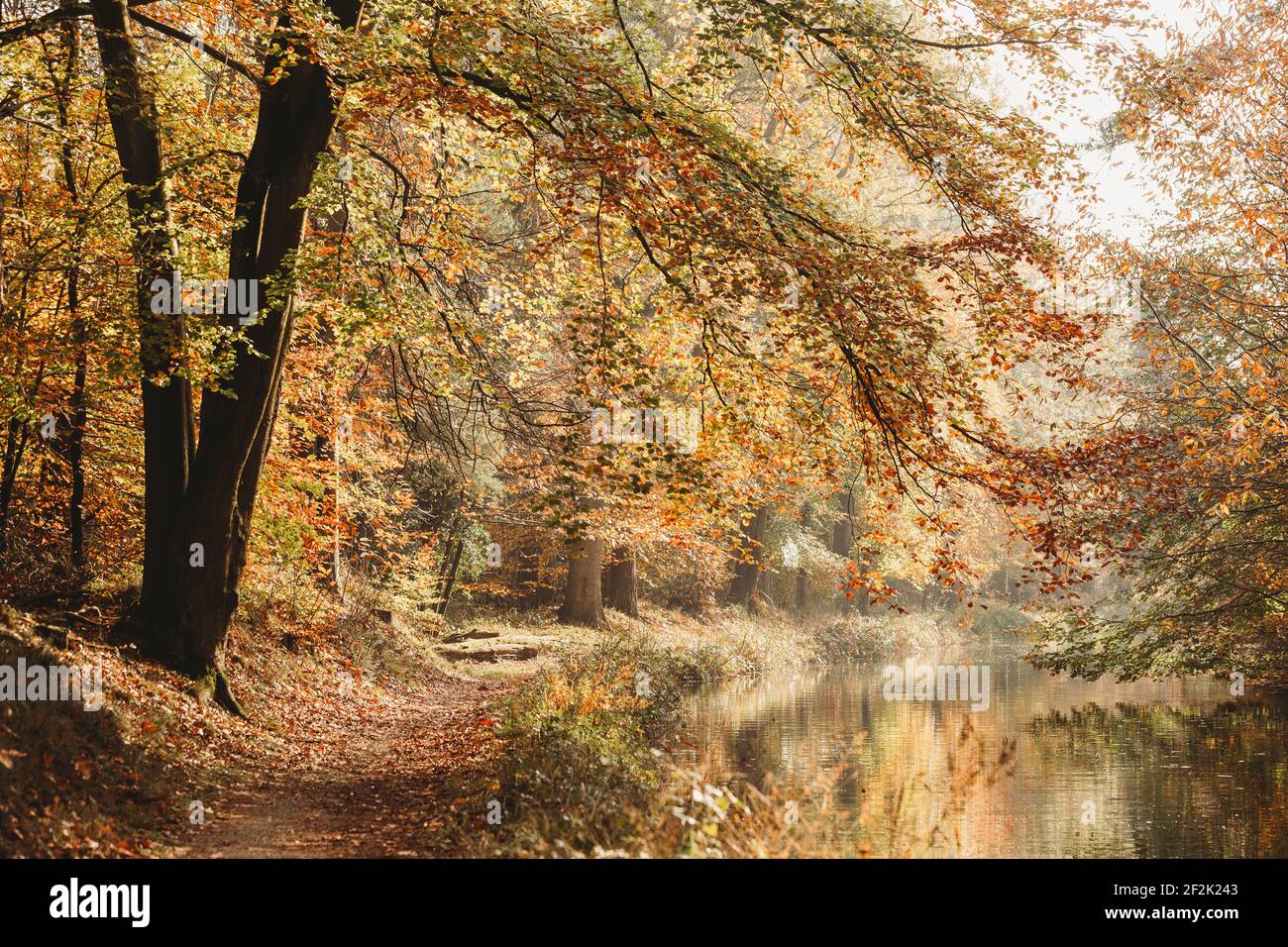 Canal towpath reflections on hi-res stock photography and images - Alamy