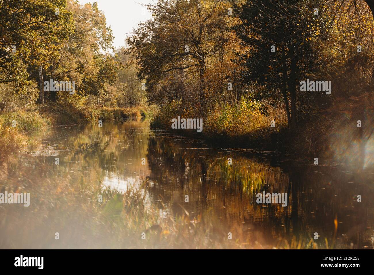 Landscape view of canal in fall with reflections and light flare Stock Photo