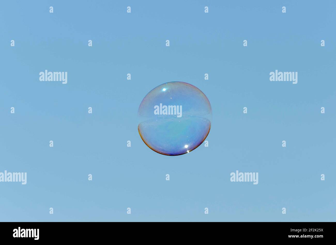 Soap bubble in the foreground Stock Photo