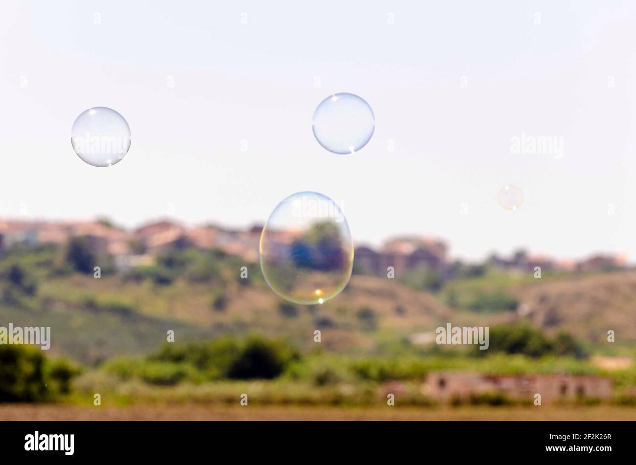 Soap bubbles flying in the sky Stock Photo - Alamy
