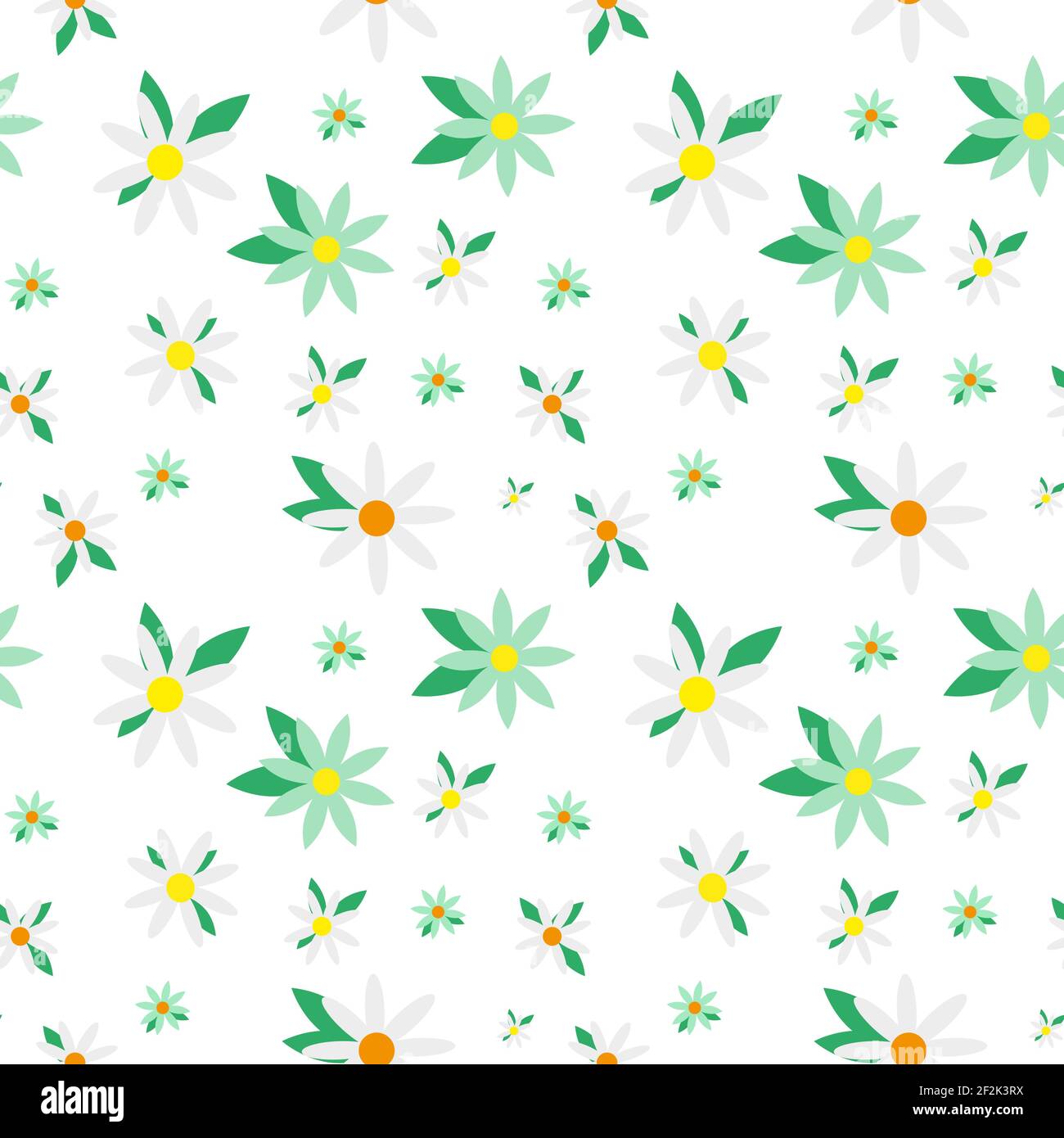 vector seamless pattern with drawing daisy flower, floral background ...