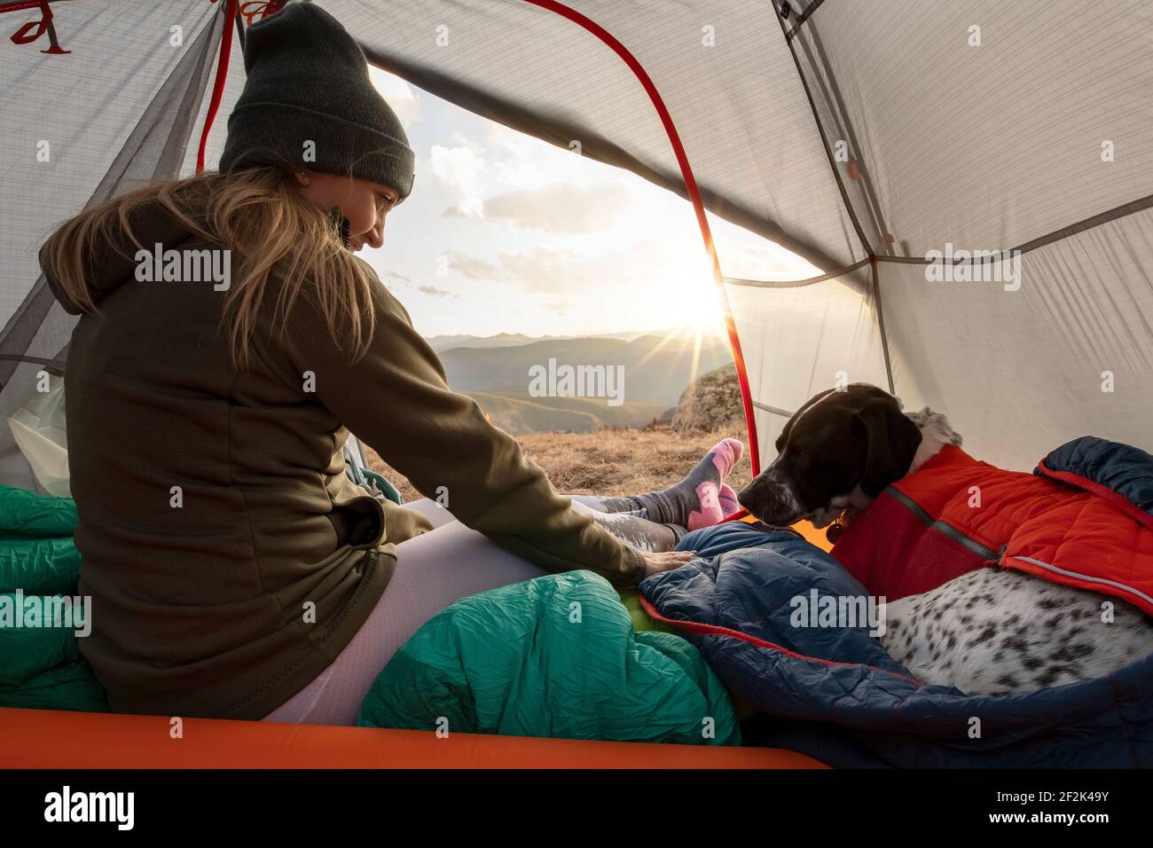 Woman camping with dog in tent on mountain during vacation Stock Photo