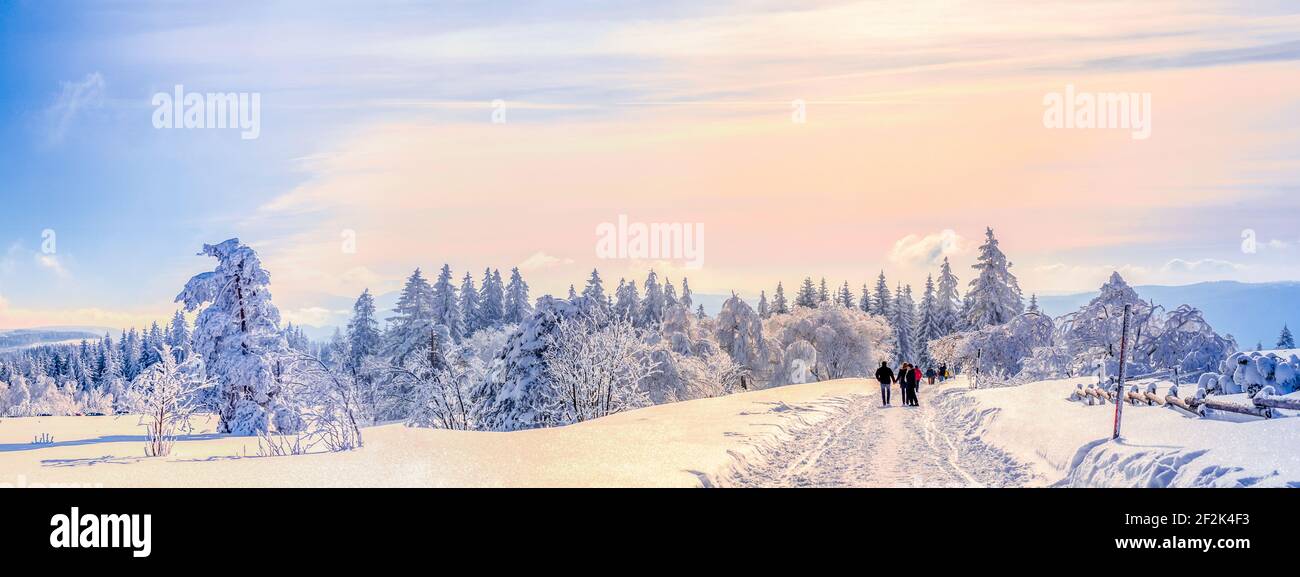 Beautiful winter Landscape, Schliffkopf, Black Forrest, Germany Stock Photo
