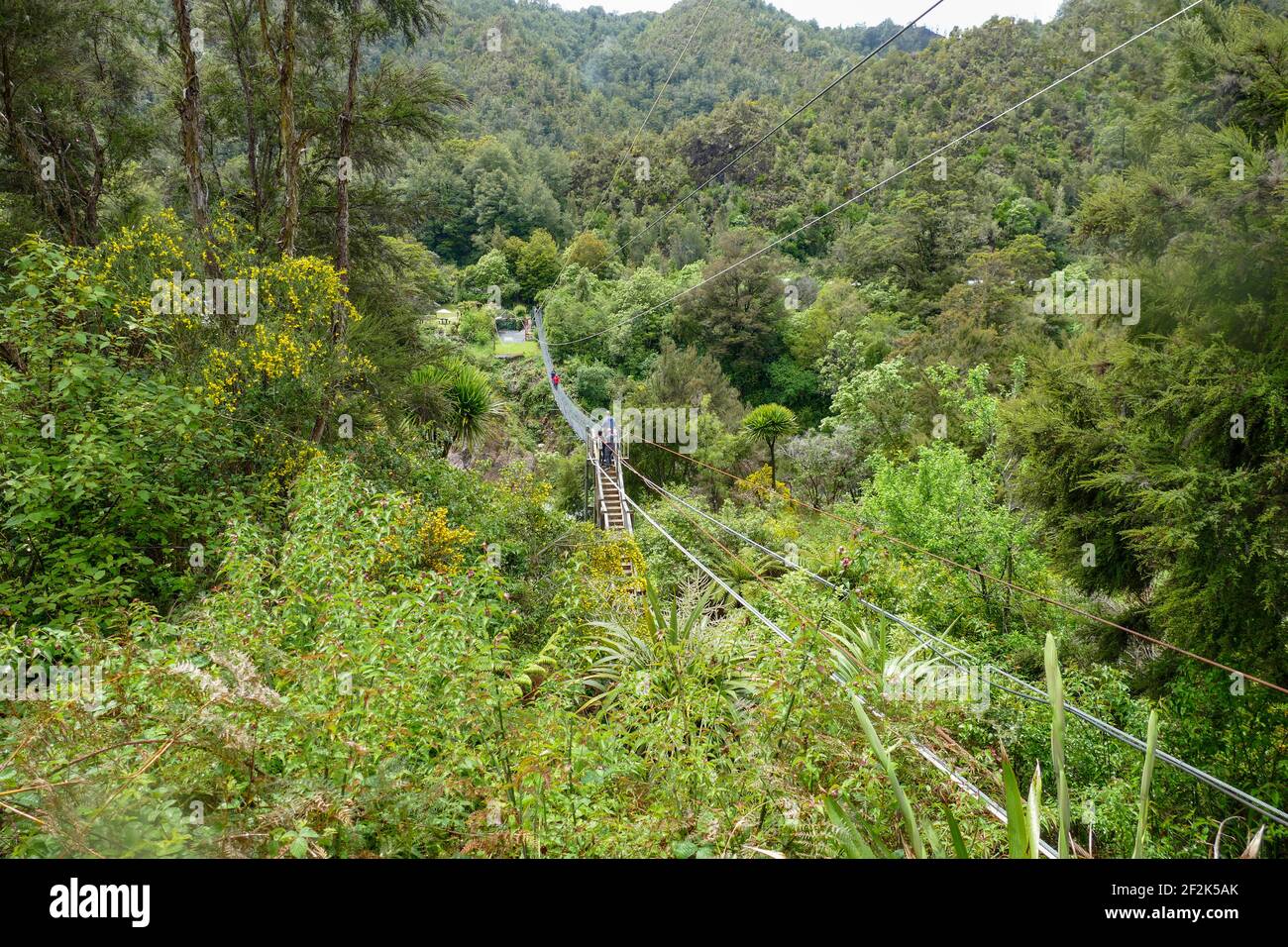 Scenery with swingbridge around the Buller River in the South Island of New Zealand Stock Photo
