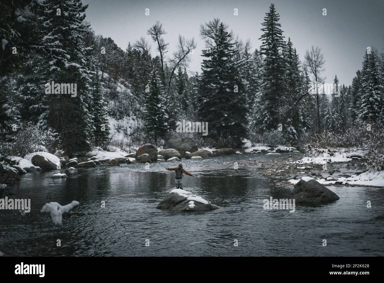 Man fly fishing while standing in river against trees during winter Stock Photo
