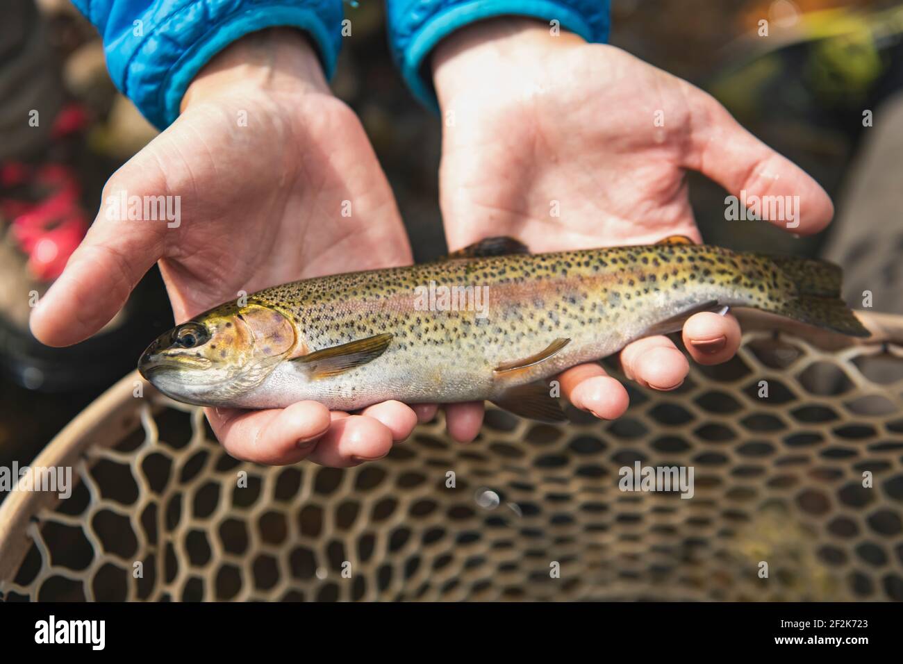 Close-up of woman with fish catch in forest Stock Photo