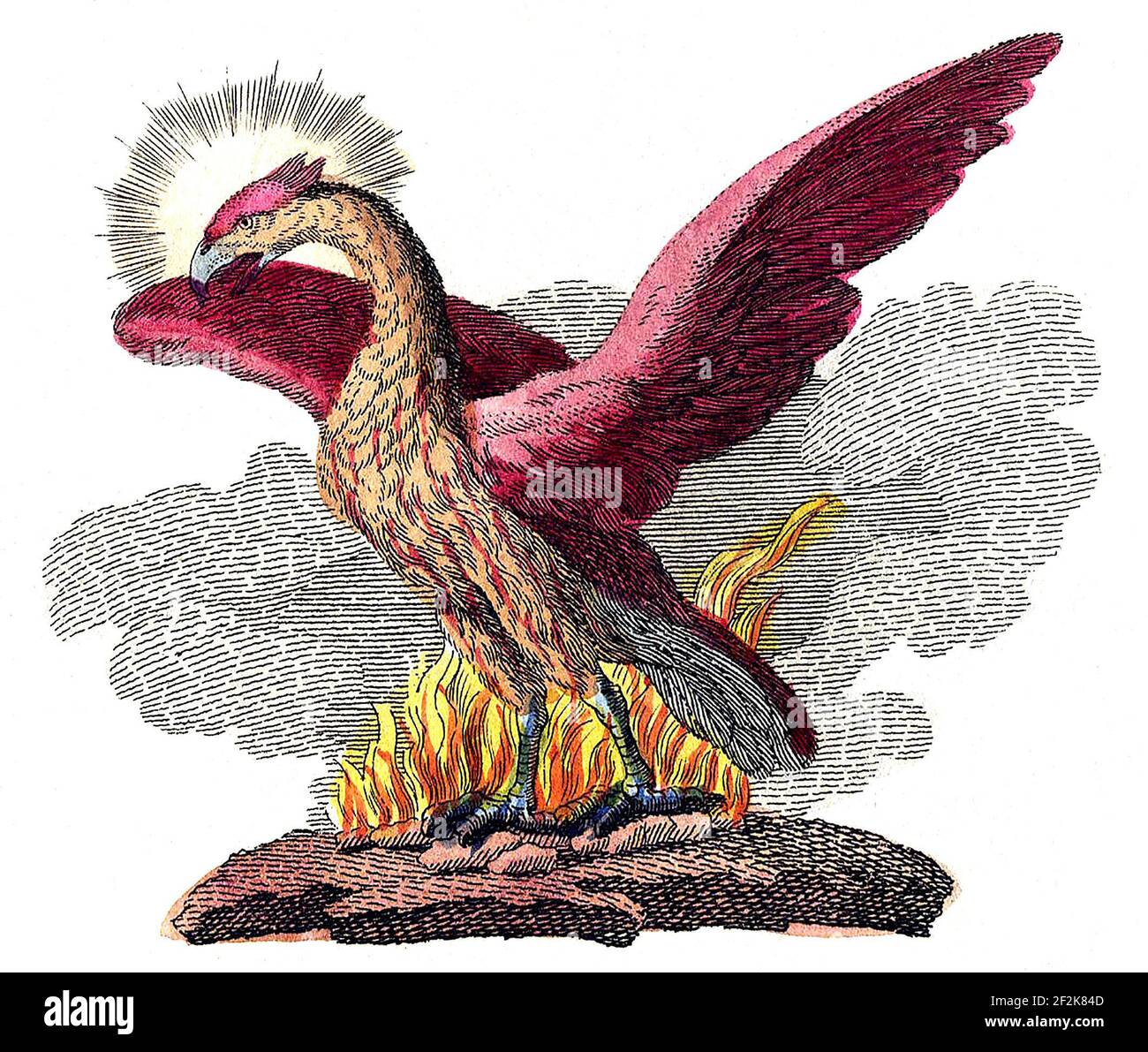 Phoenix. Illustration of the mythical bird from a childrens' book, 1806 Stock Photo