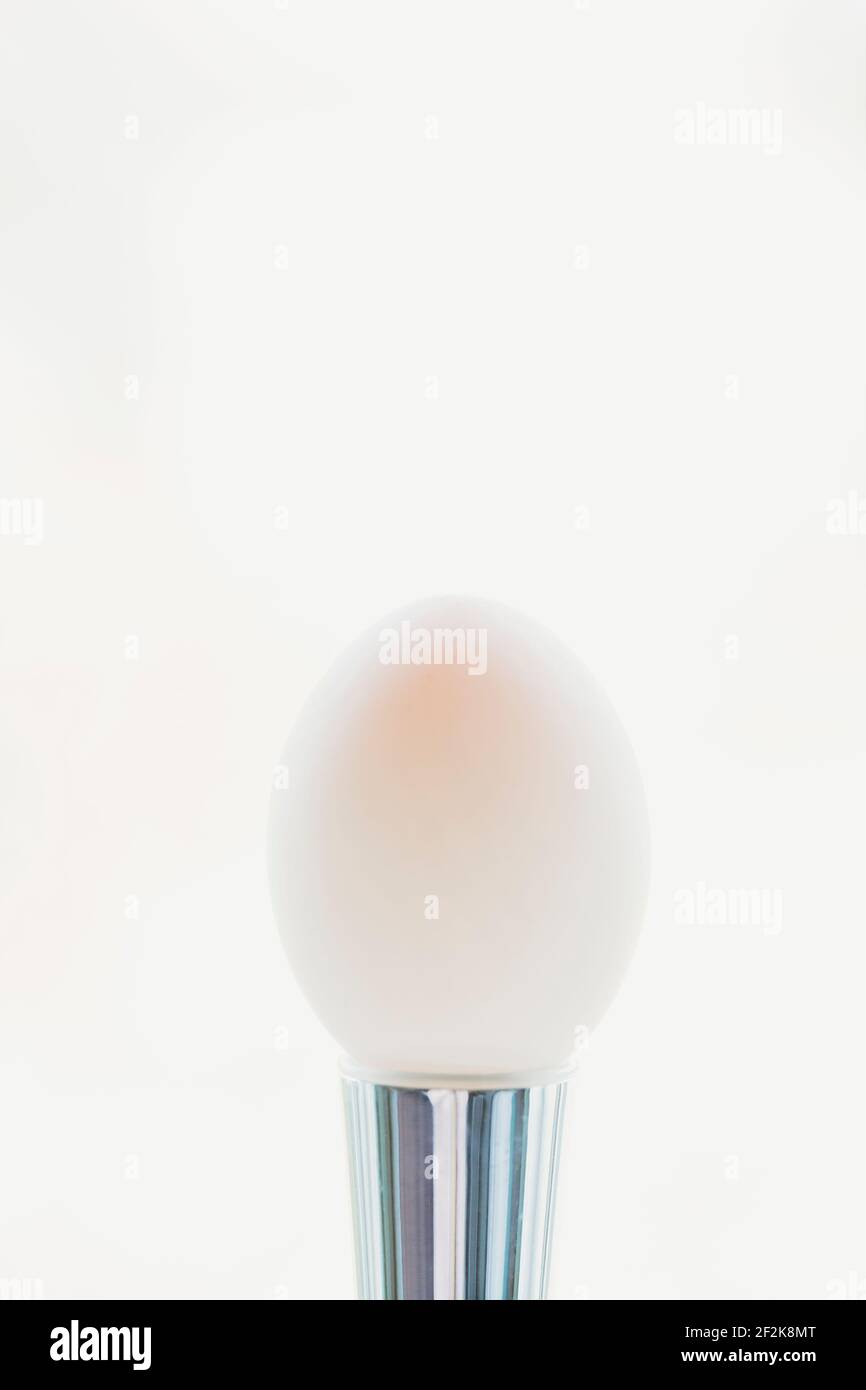 White duck egg on silver stand against a white background Stock Photo