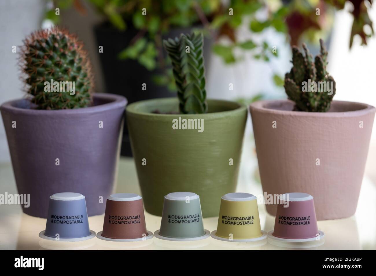 Colourful, sustainable eco friendly coffee capsules. The pods are