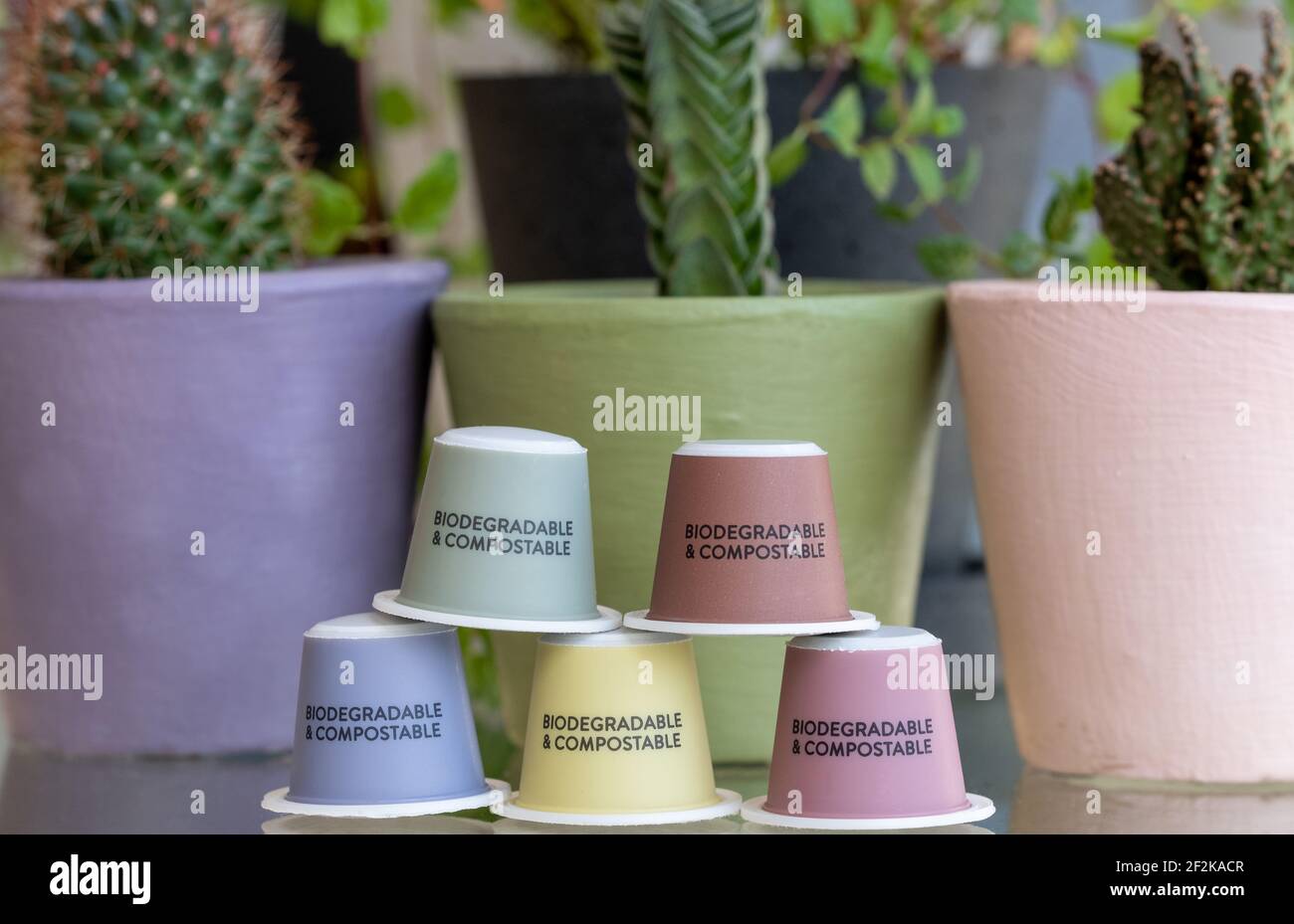 Colourful, sustainable eco friendly coffee capsules. The pods are