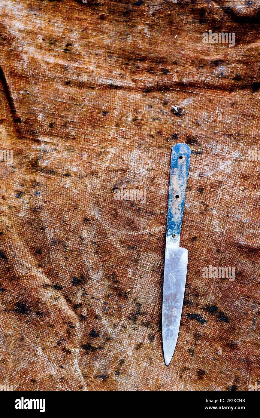 Vintage handleless knife blade, illustration, France Stock Photo Alamy