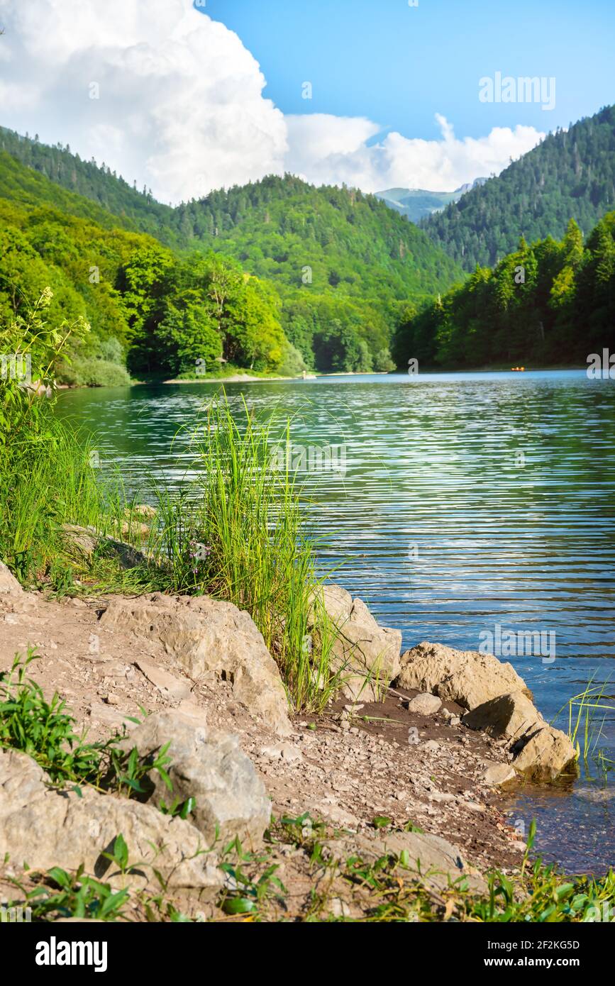Biogradsko lake in the national park Biogradska Gora Montenegro Stock Photo