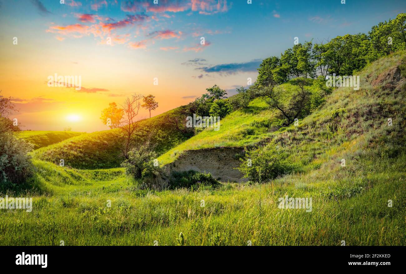 Trees and green grass fields hi-res stock photography and images - Alamy