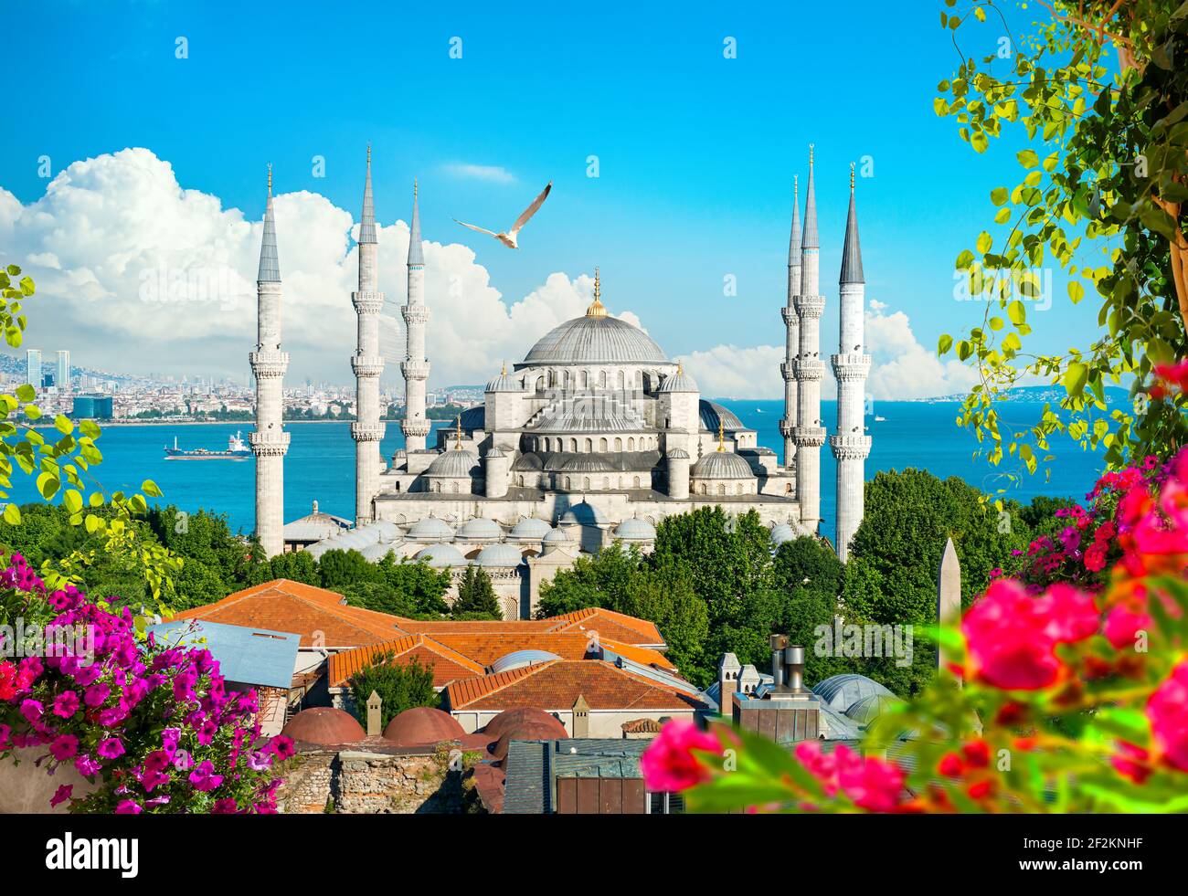 Seagulls over Blue Mosque and Bosphorus in Istanbul, Turkey Stock Photo