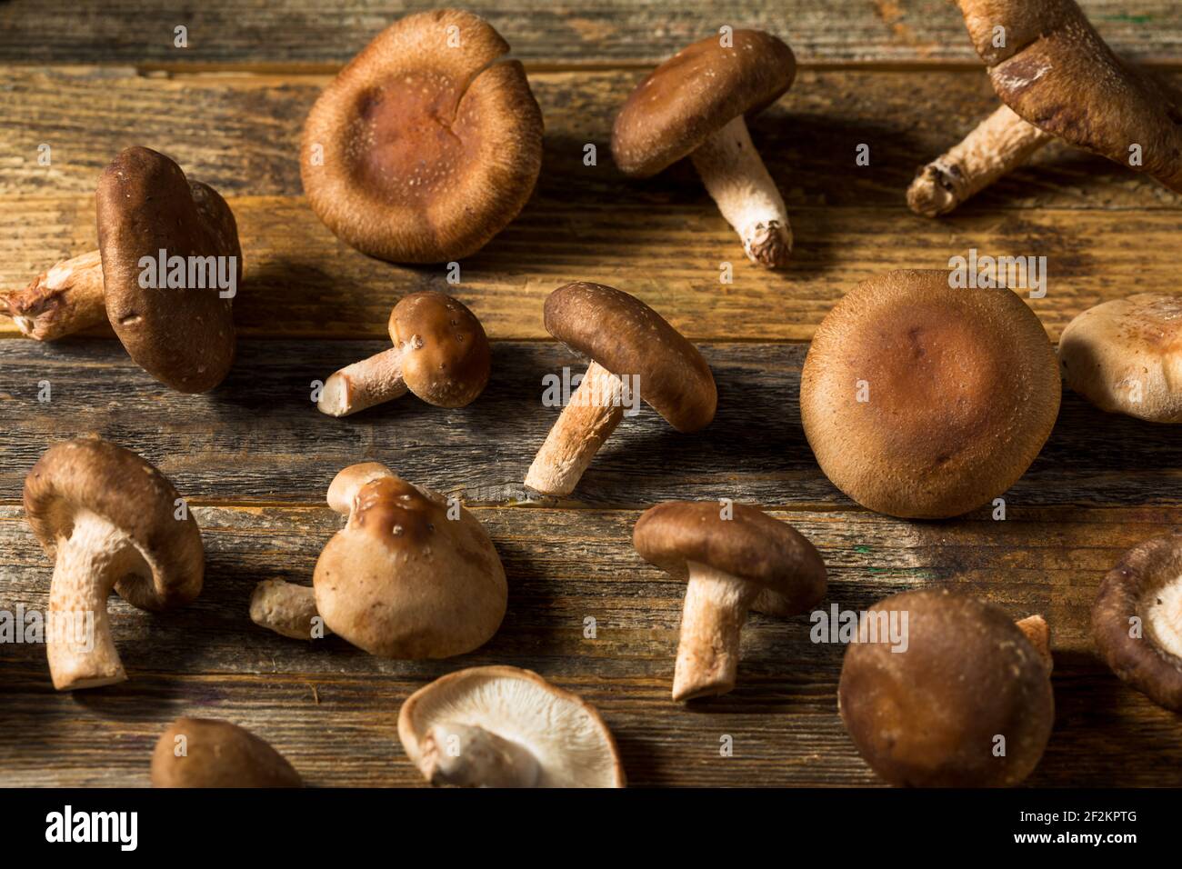 Raw Organic Shiitake Mushrooms Ready to Cook Stock Photo Alamy