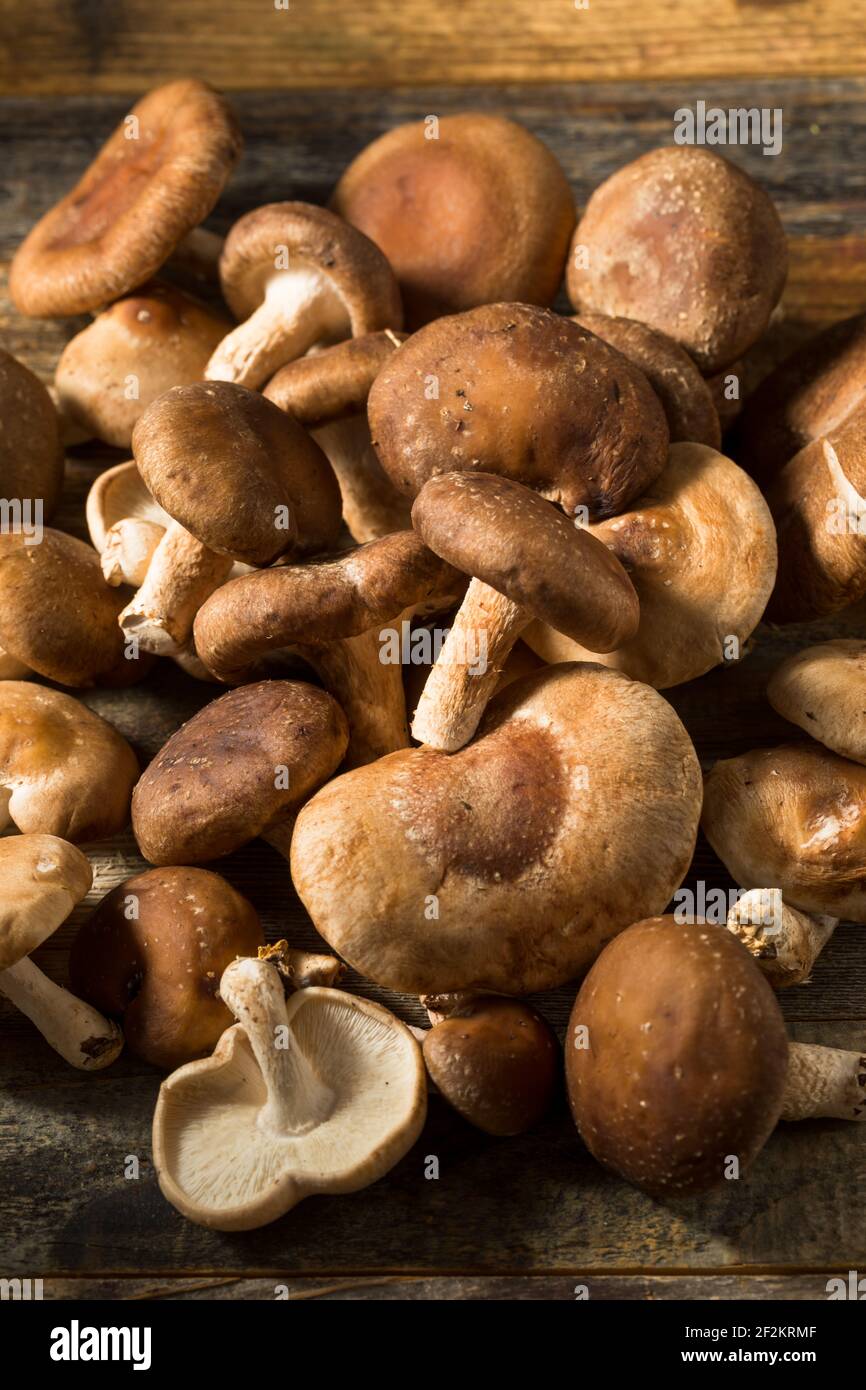 Shiitake mushrooms hires stock photography and images Alamy