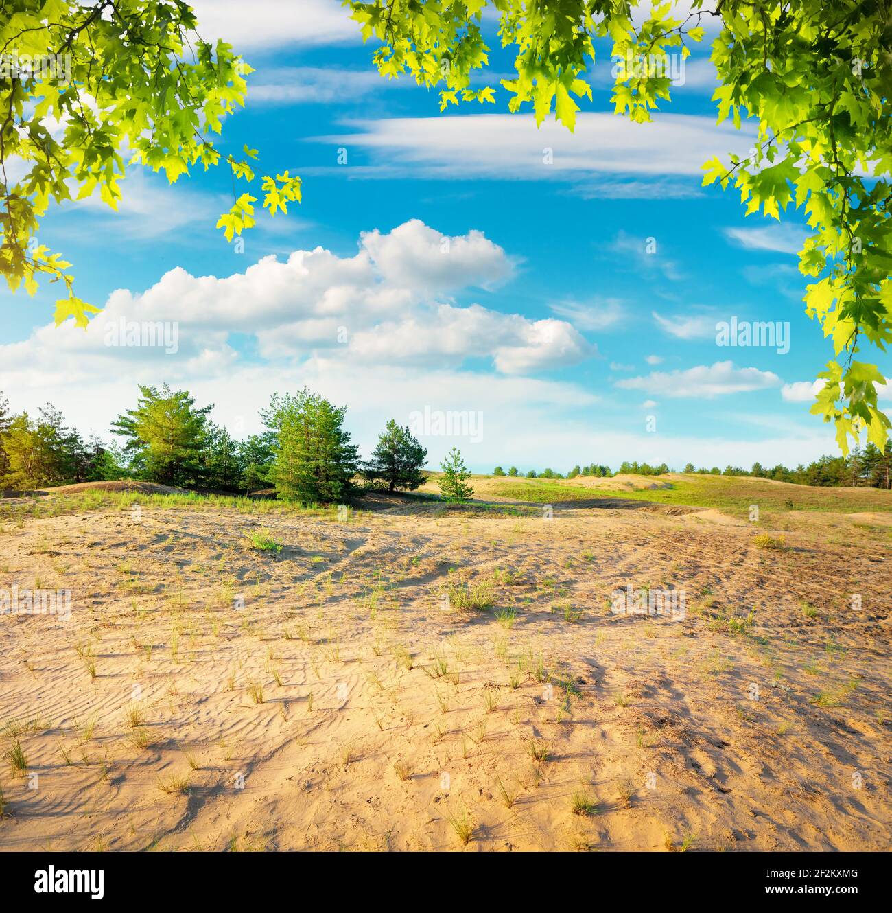 Cloudy sky and sunlight over sandy desert Stock Photo
