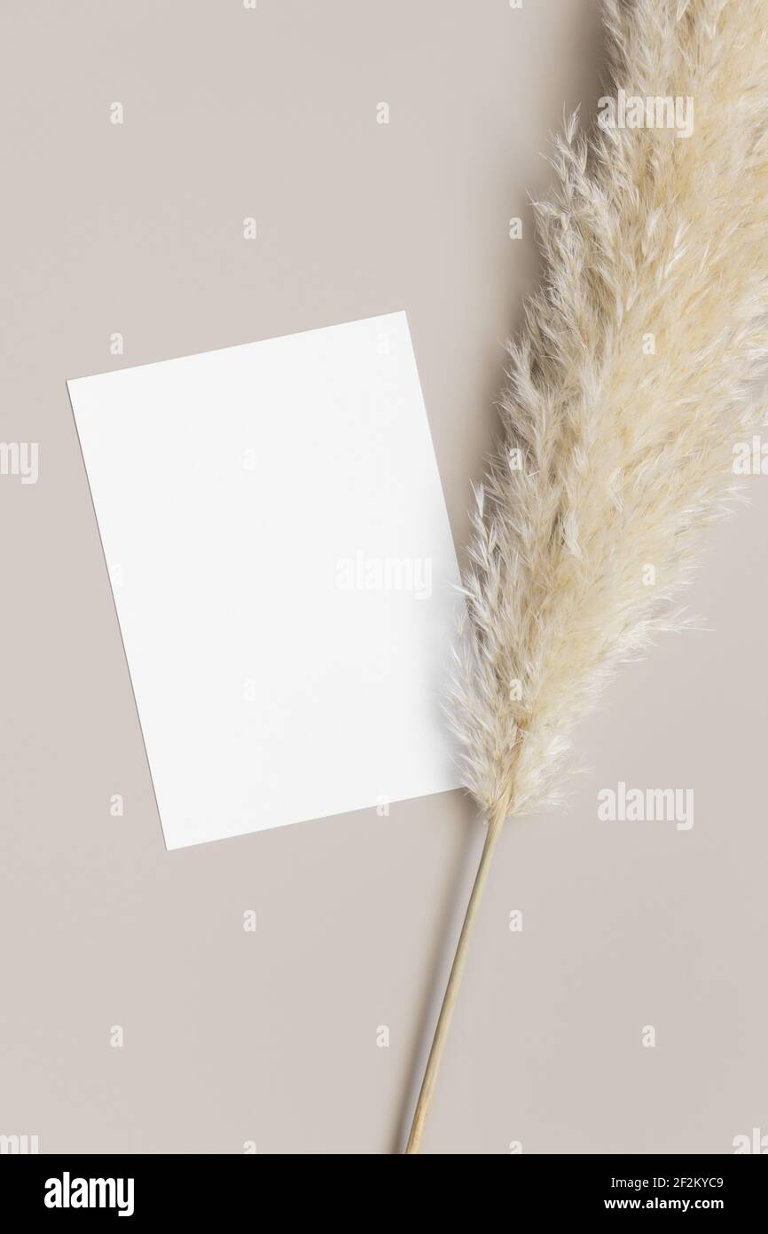 Download A5 Card Mockup High Resolution Stock Photography And Images Alamy
